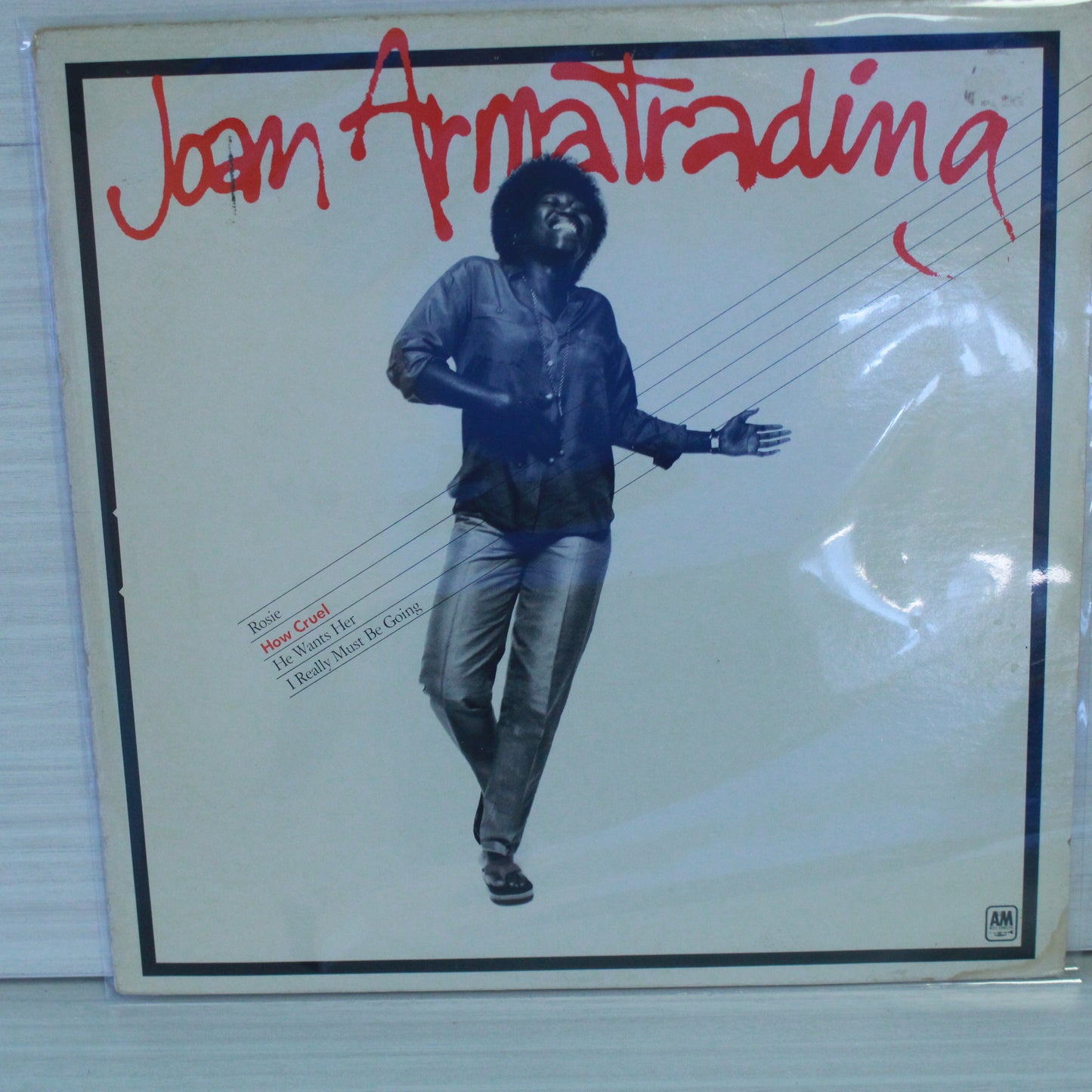 Joan Armatrading : How Cruel (LP,Single Sided,Mini-Album)