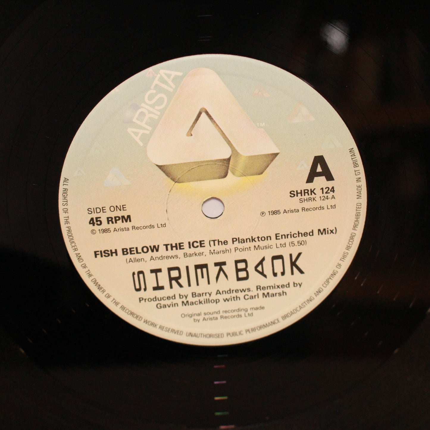 Shriekback : Fish Below The Ice (12",Single)