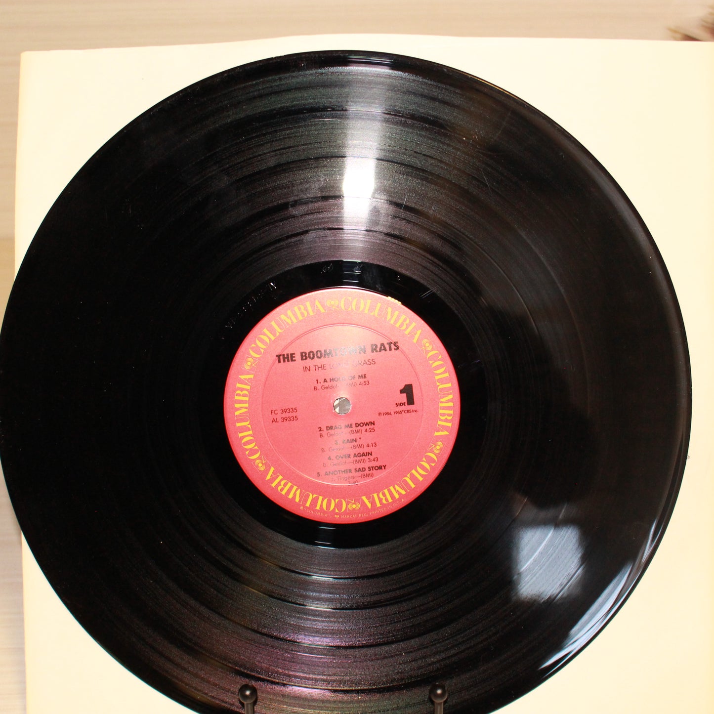 Boomtown Rats, The : In The Long Grass (LP,Album,Stereo)