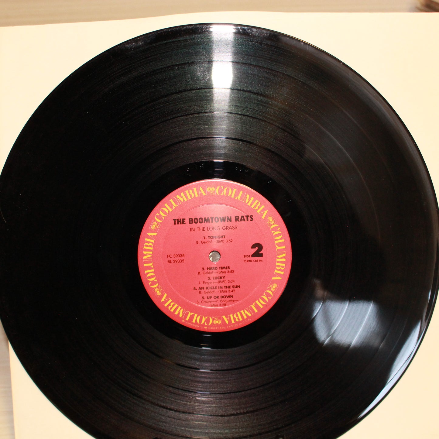 Boomtown Rats, The : In The Long Grass (LP,Album,Stereo)