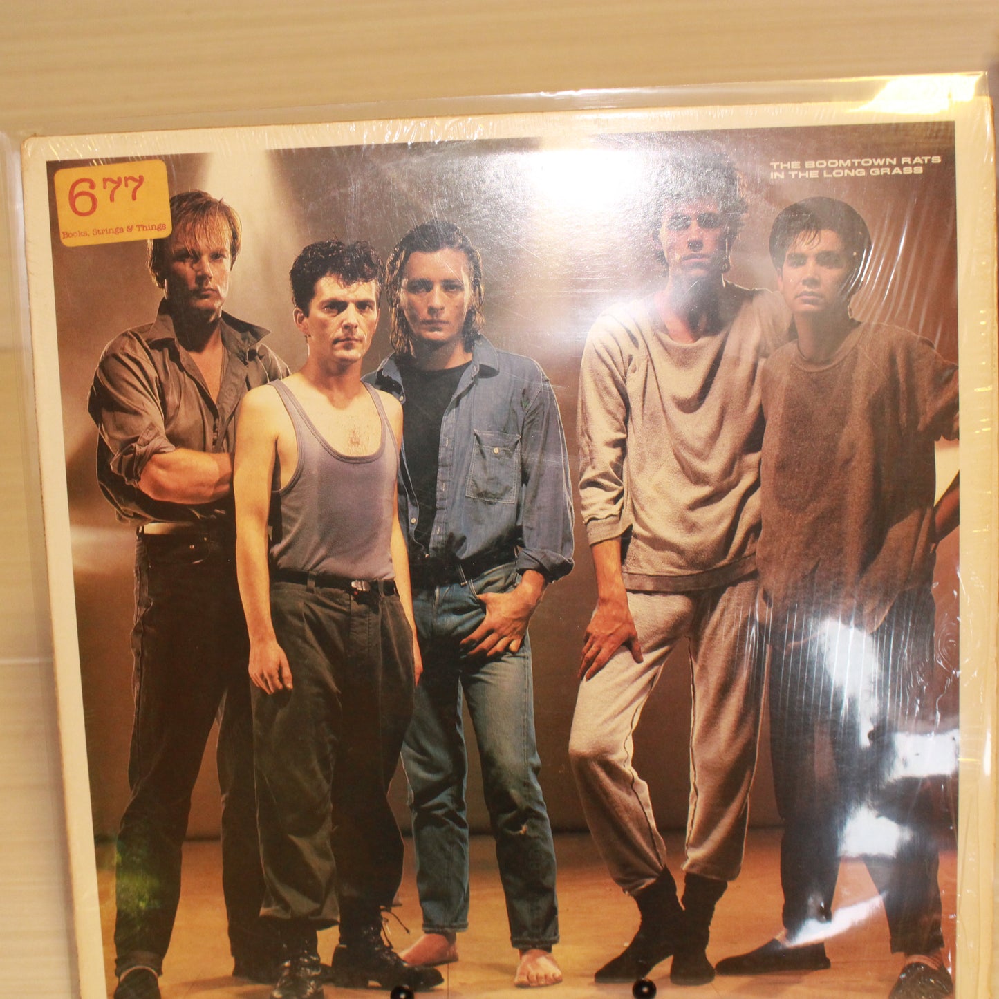 Boomtown Rats, The : In The Long Grass (LP,Album,Stereo)