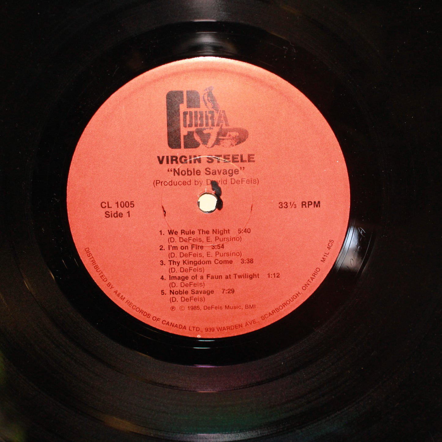 Virgin Steele : Noble Savage (LP,Album)