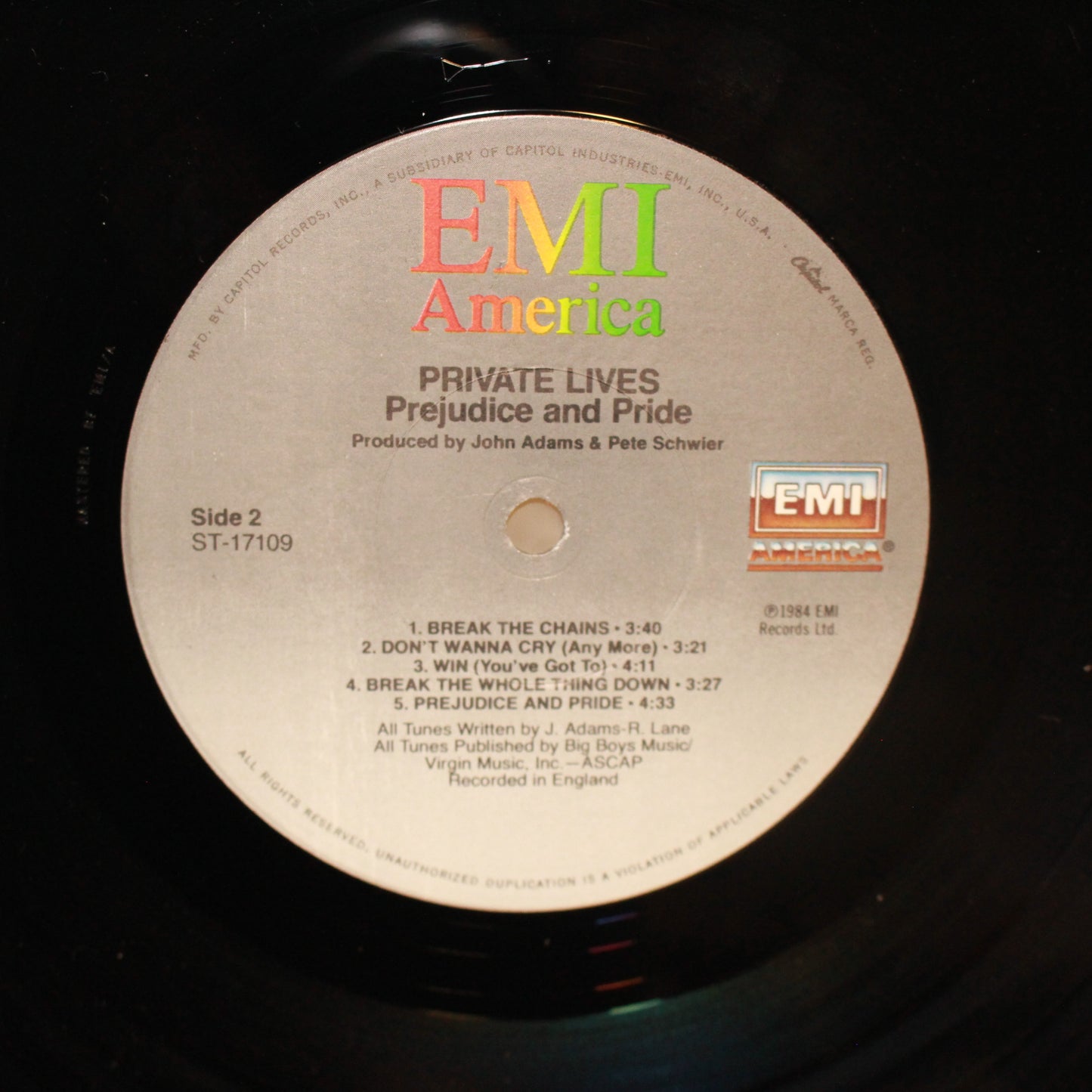Private Lives : Prejudice And Pride (LP,Album)