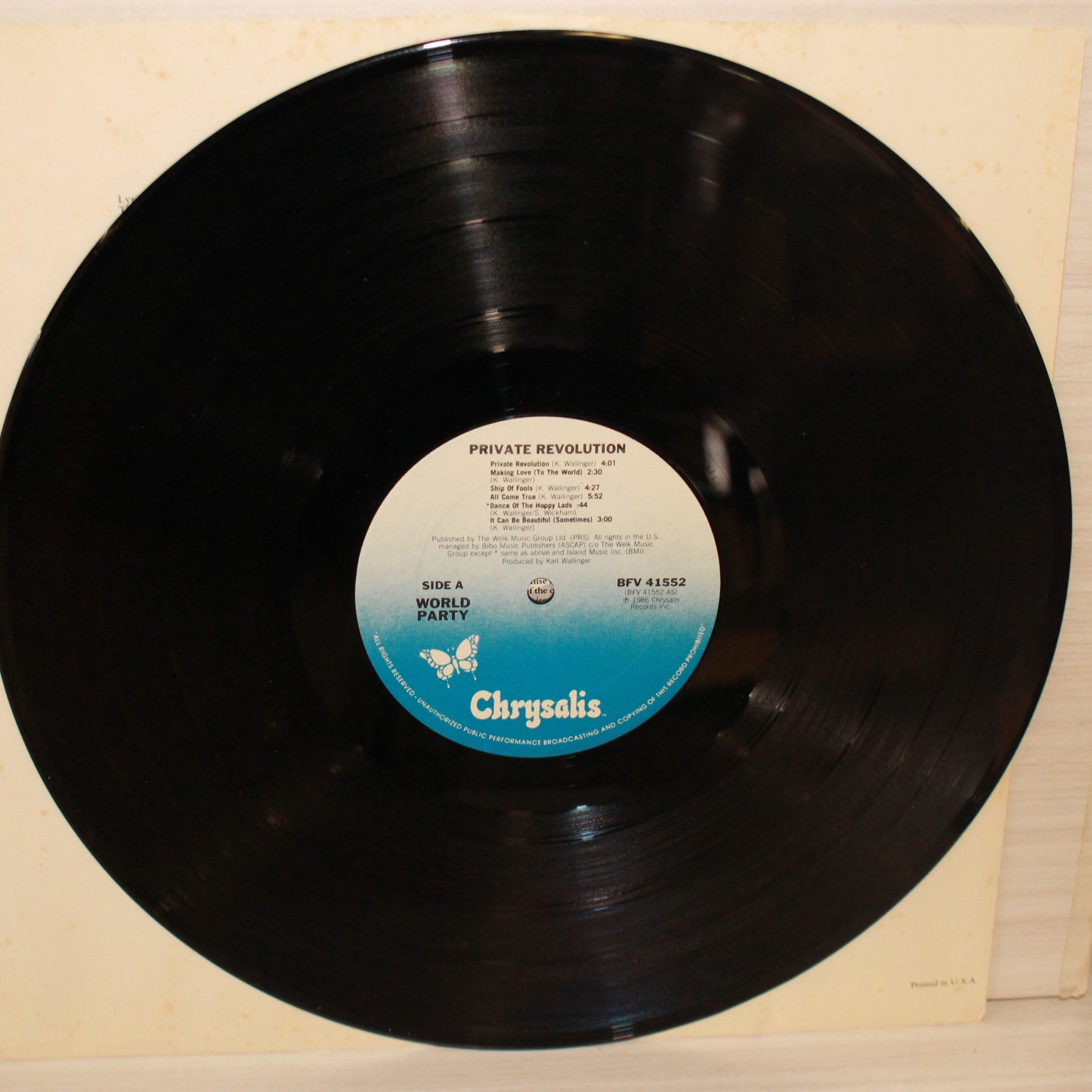 World Party : Private Revolution (LP,Album,Stereo)