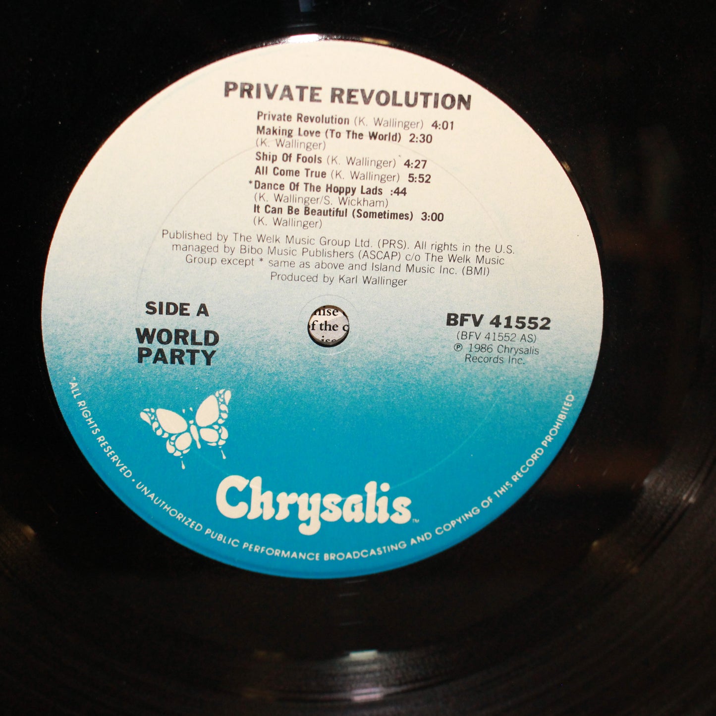World Party : Private Revolution (LP,Album,Stereo)