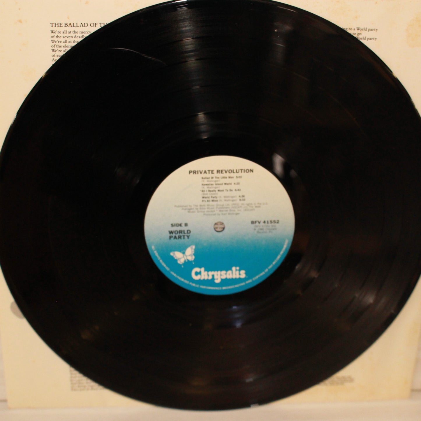 World Party : Private Revolution (LP,Album,Stereo)