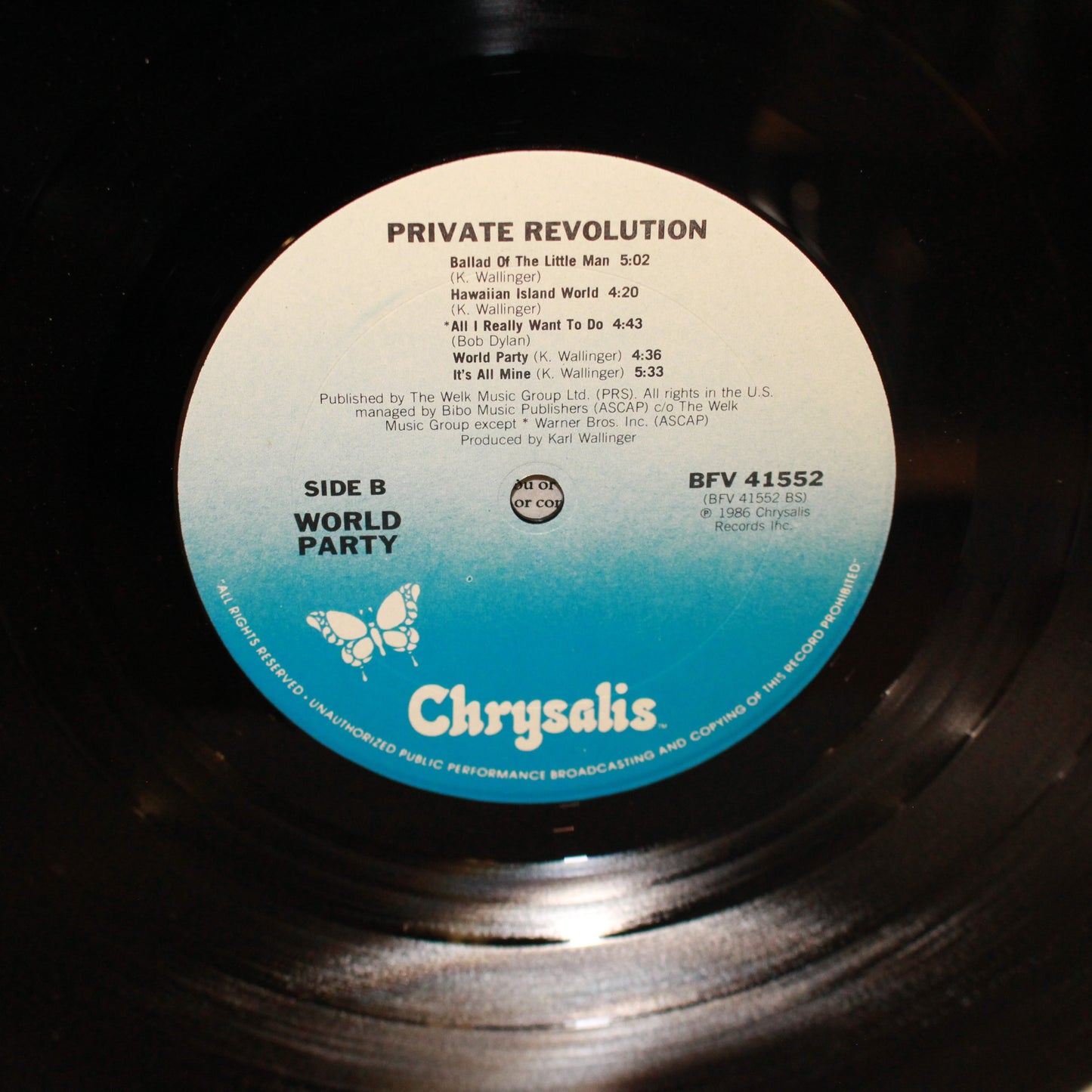 World Party : Private Revolution (LP,Album,Stereo)