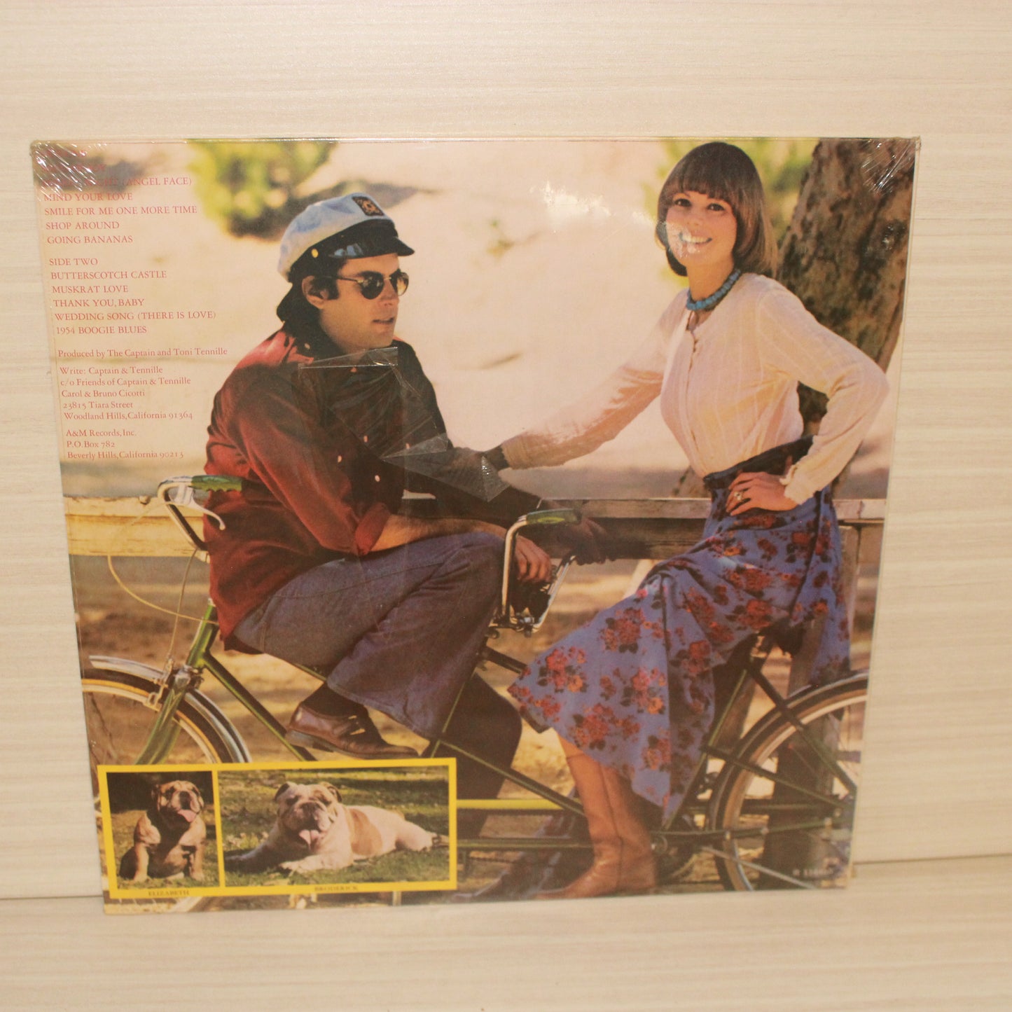 Captain And Tennille : Song Of Joy (LP,Reissue)