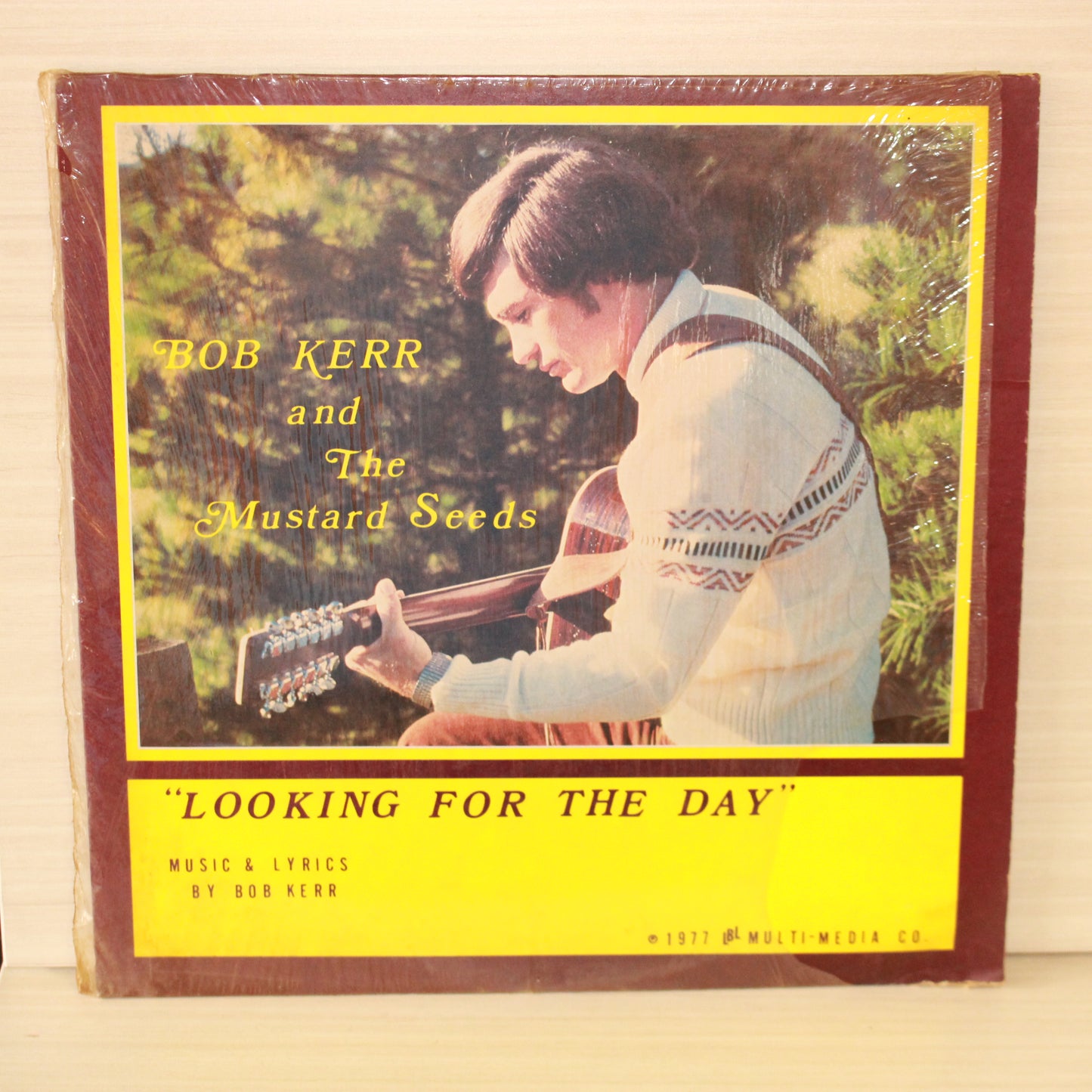 Bob Kerr And The Mustard Seeds : Looking For The Day (LP)