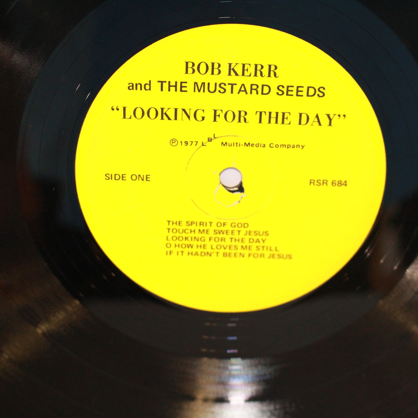 Bob Kerr And The Mustard Seeds : Looking For The Day (LP)