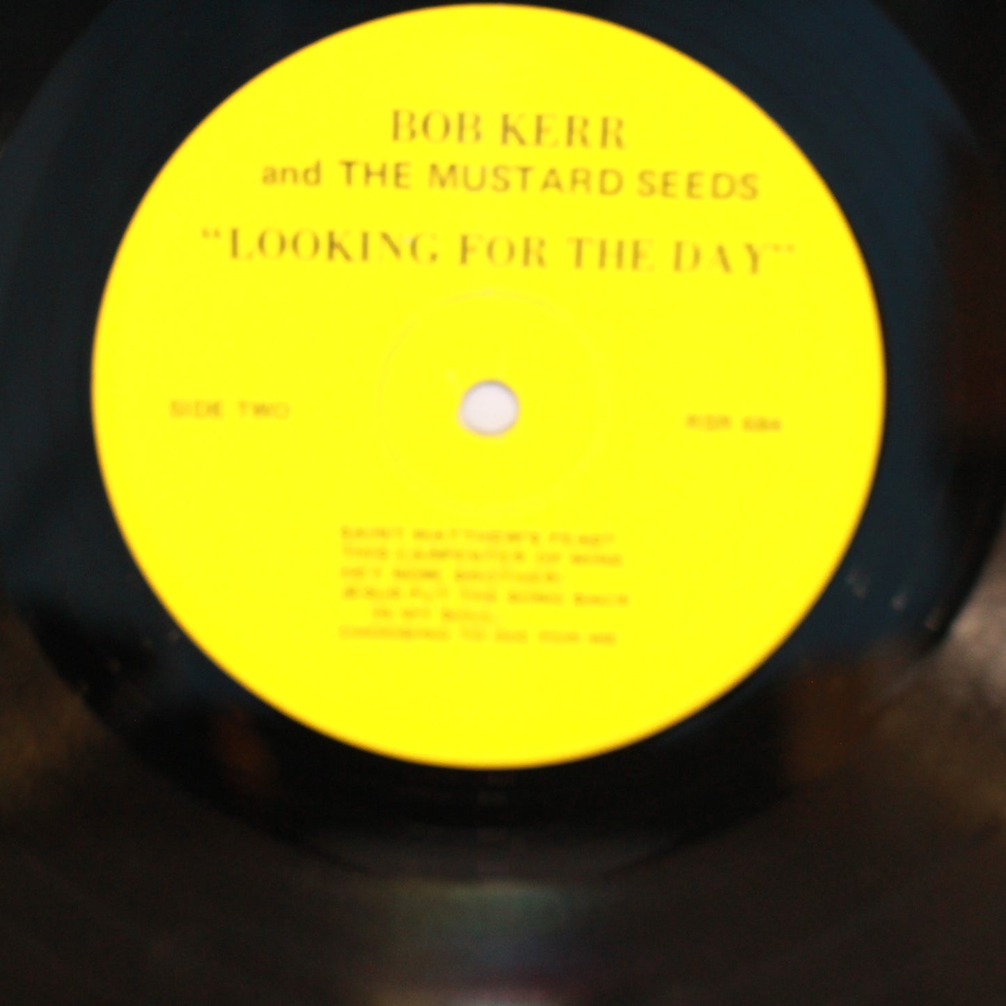 Bob Kerr And The Mustard Seeds : Looking For The Day (LP)