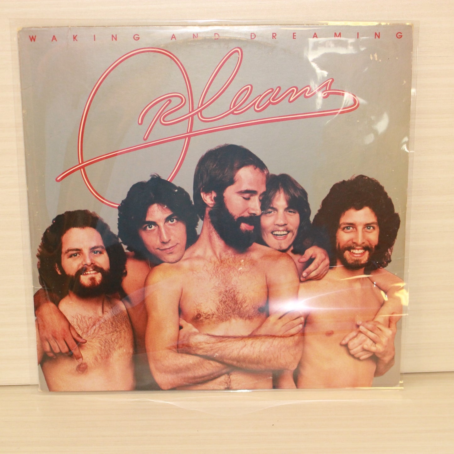 Orleans : Waking And Dreaming (LP,Album,Stereo)