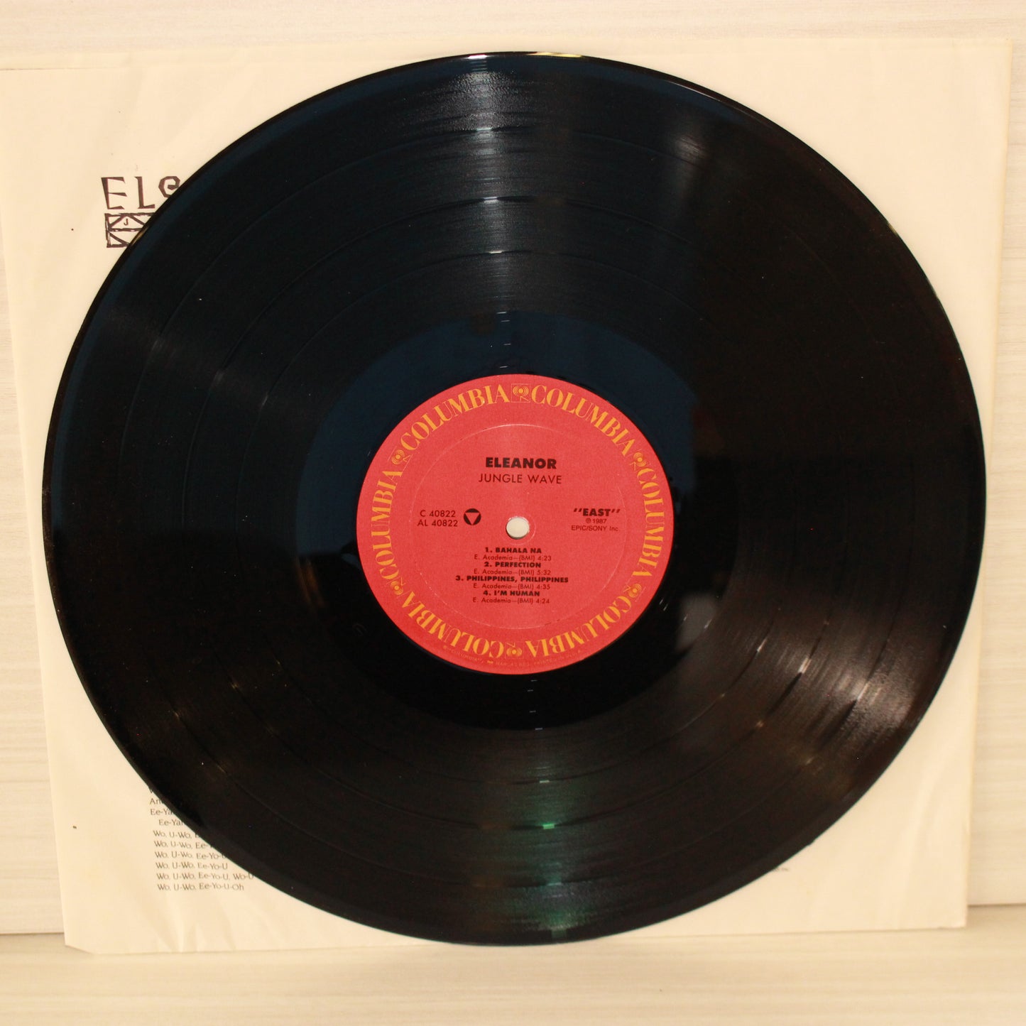 Eleanor Academia : Jungle Wave (LP,Album)