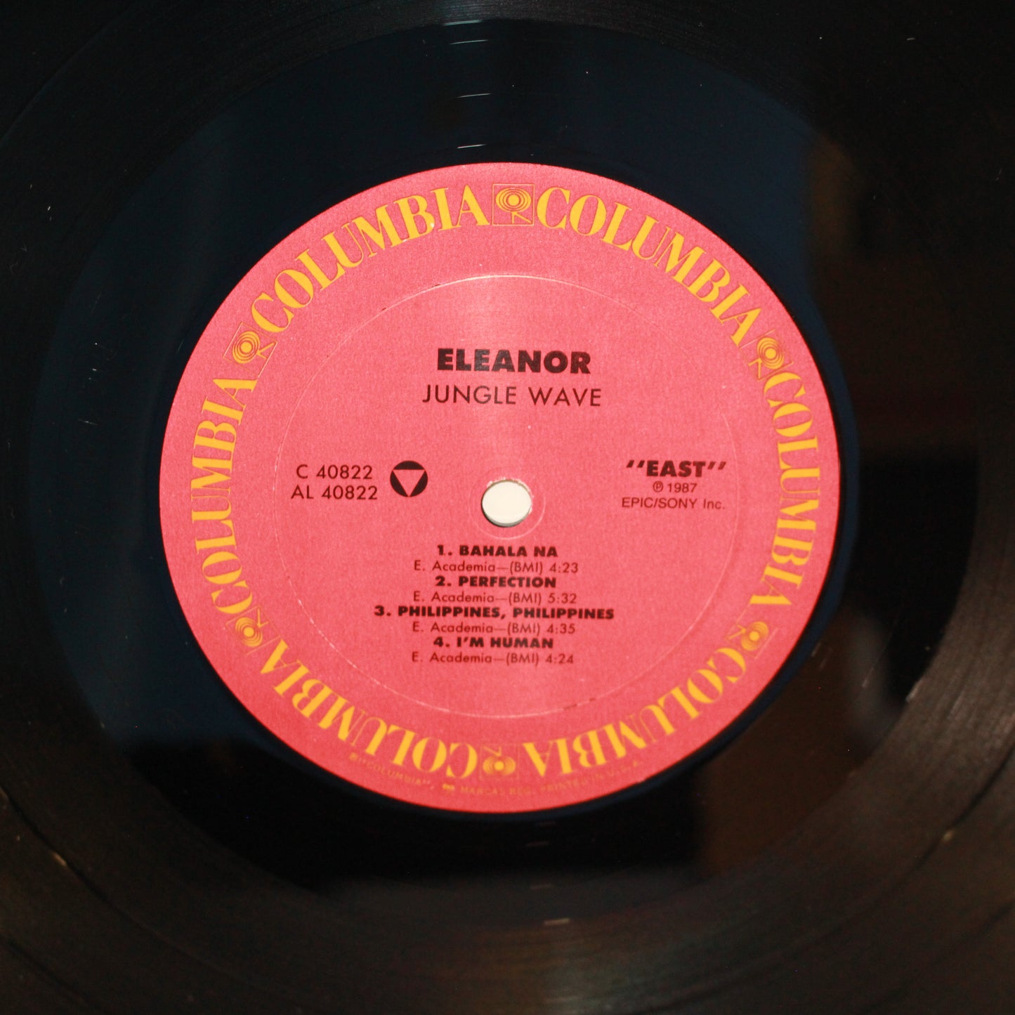 Eleanor Academia : Jungle Wave (LP,Album)