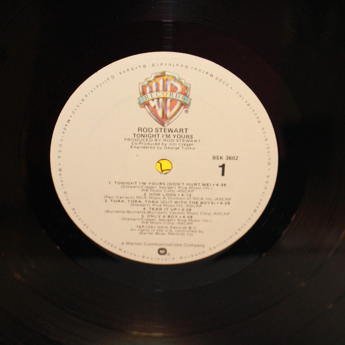 Rod Stewart : Tonight I'm Yours (LP,Album)