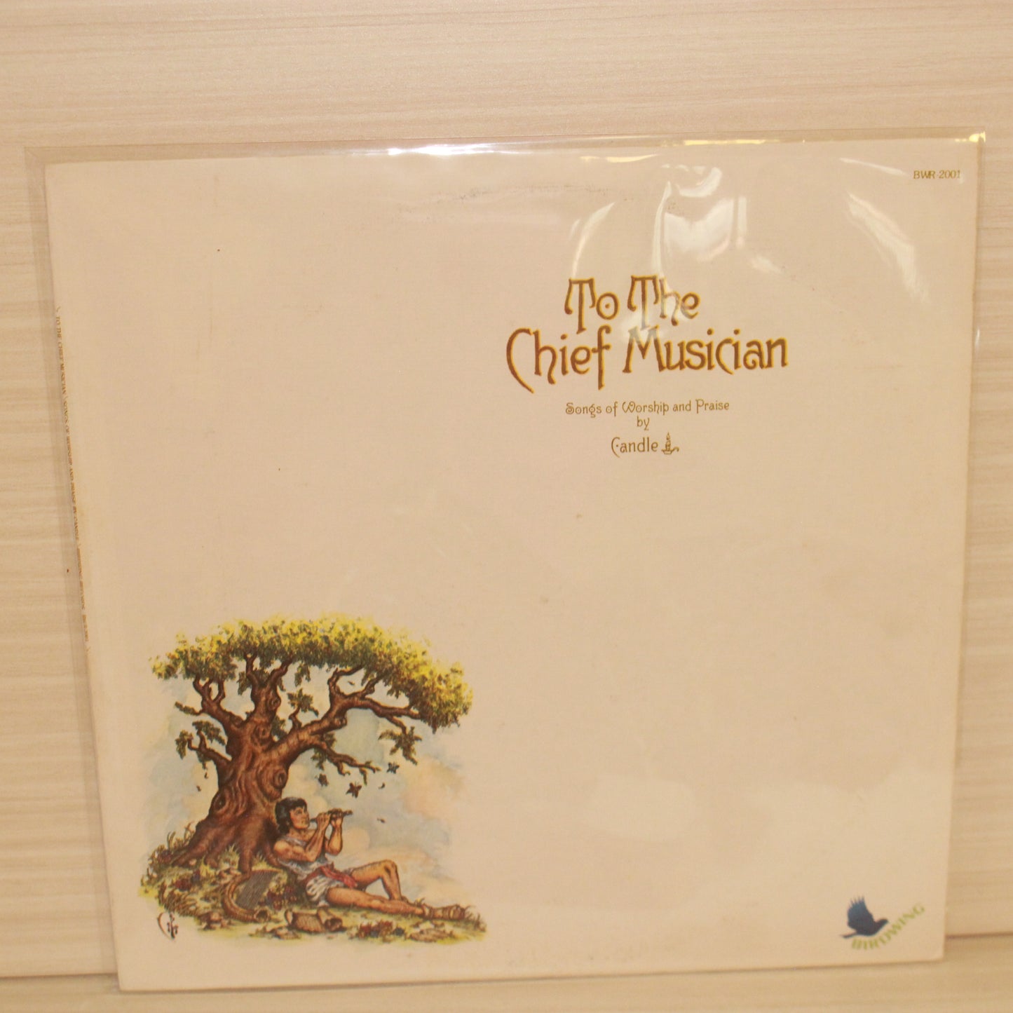Candle (3) : To The Chief Musician - Songs Of Worship And Praise By Candle (LP)