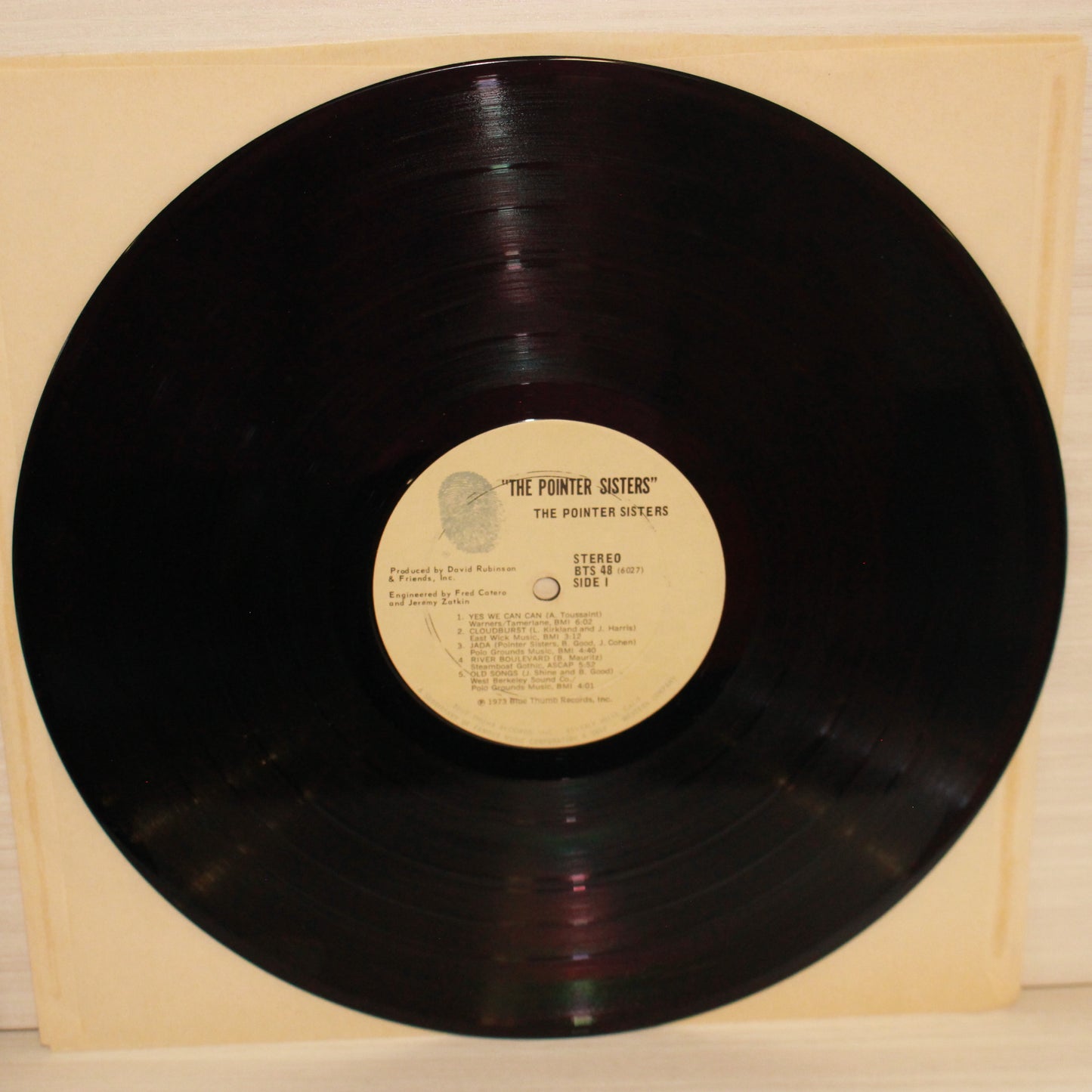Pointer Sisters : The Pointer Sisters (LP,Album)