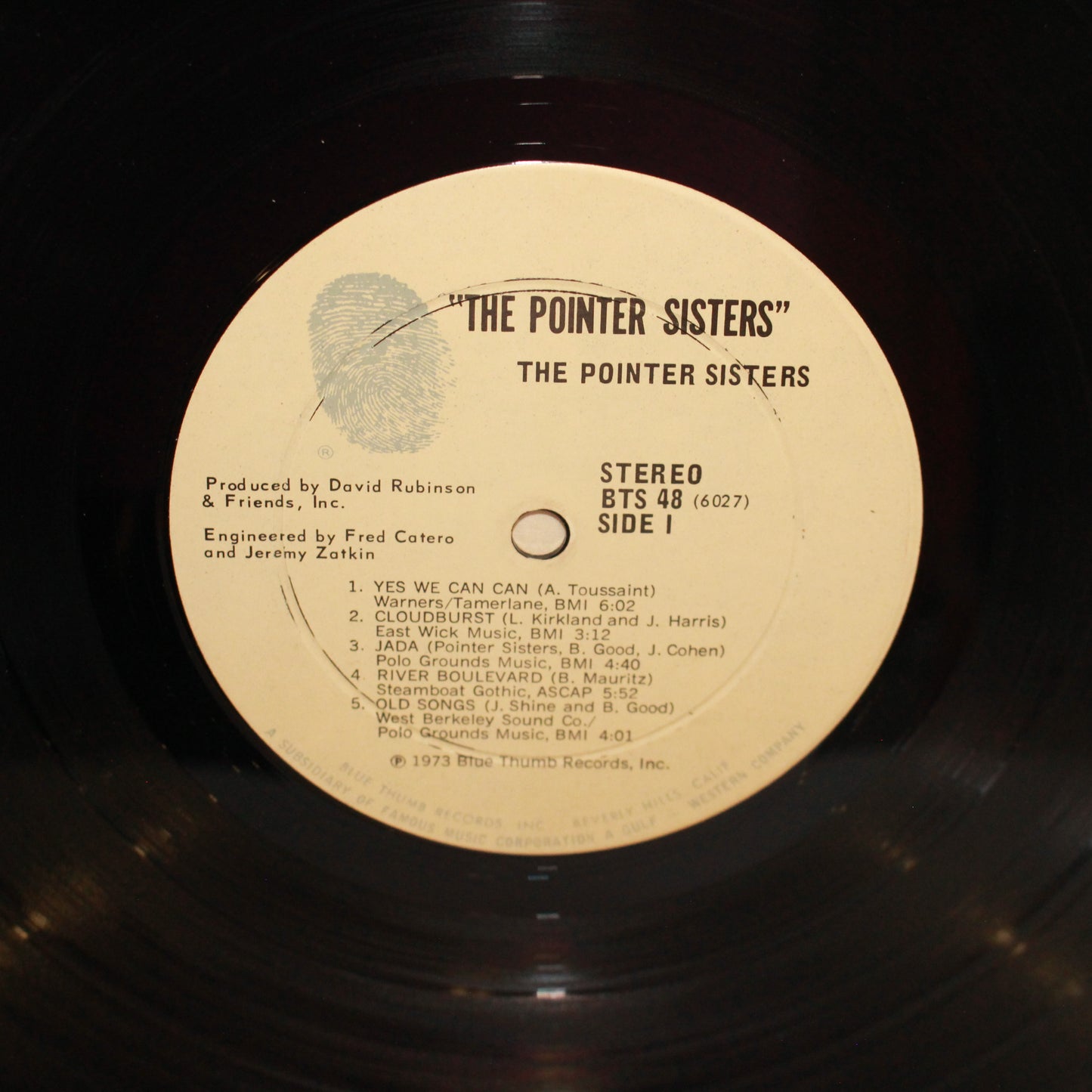 Pointer Sisters : The Pointer Sisters (LP,Album)