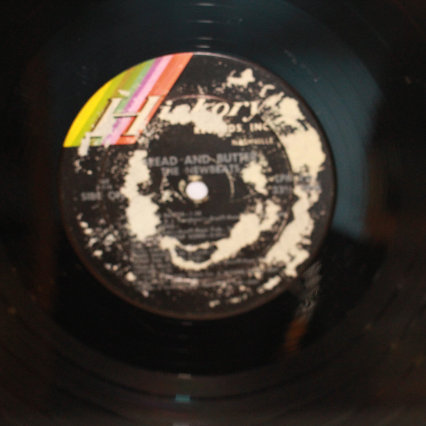 The Newbeats : Bread & Butter (LP,Album,Mono)