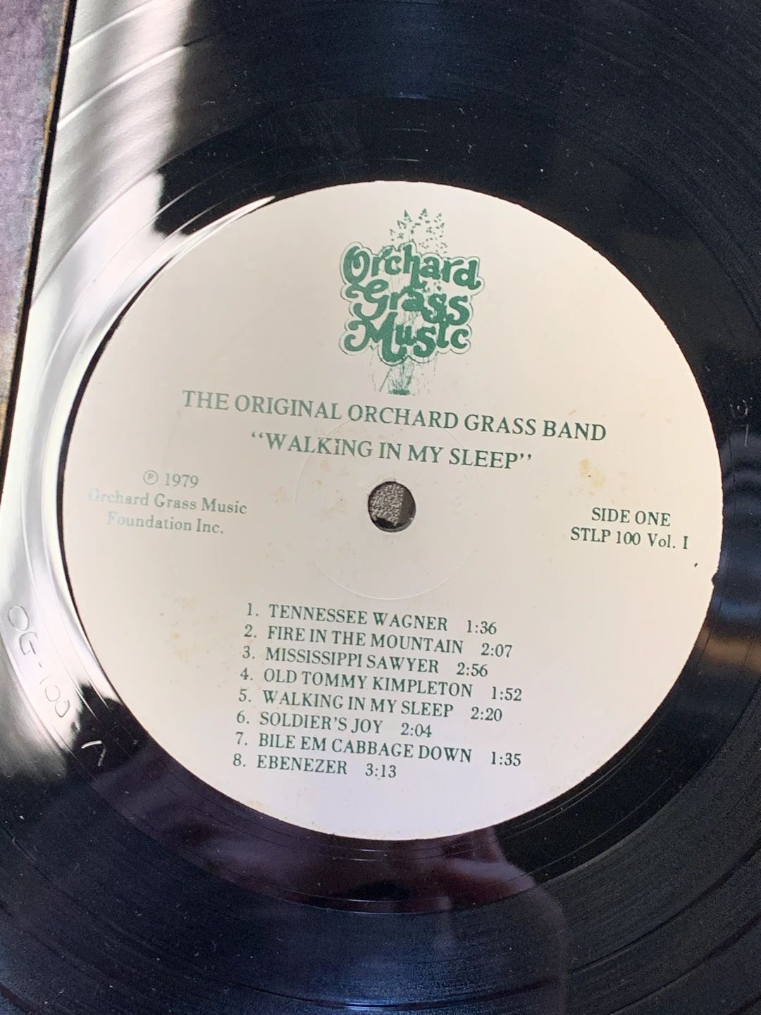 Original Orchard Grass Band, The – Walking In My Sleep (1979, Orchard Grass Music)