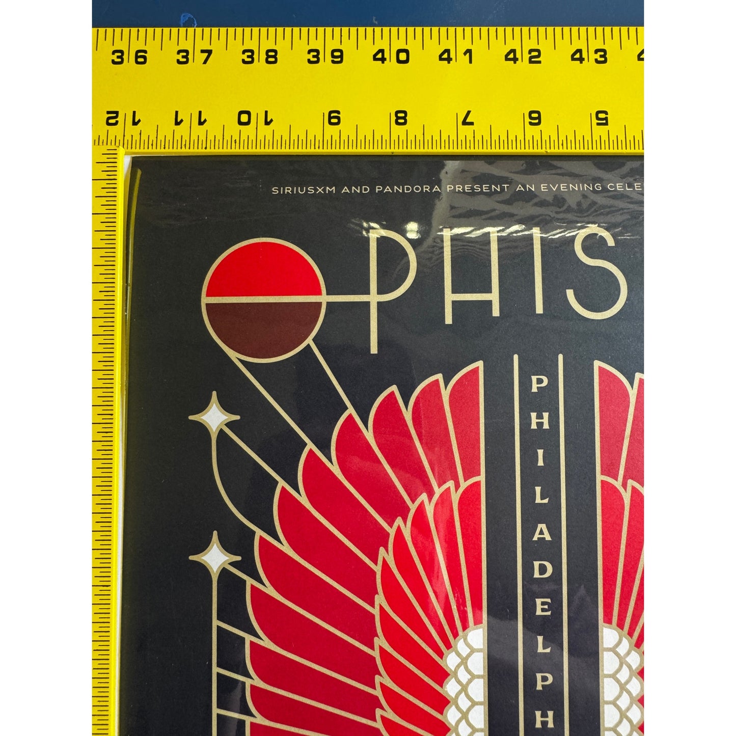 20" x 12" -Phish-The Met-12-03-19-Philly-Brian Steely Edition of 250-XM Poster