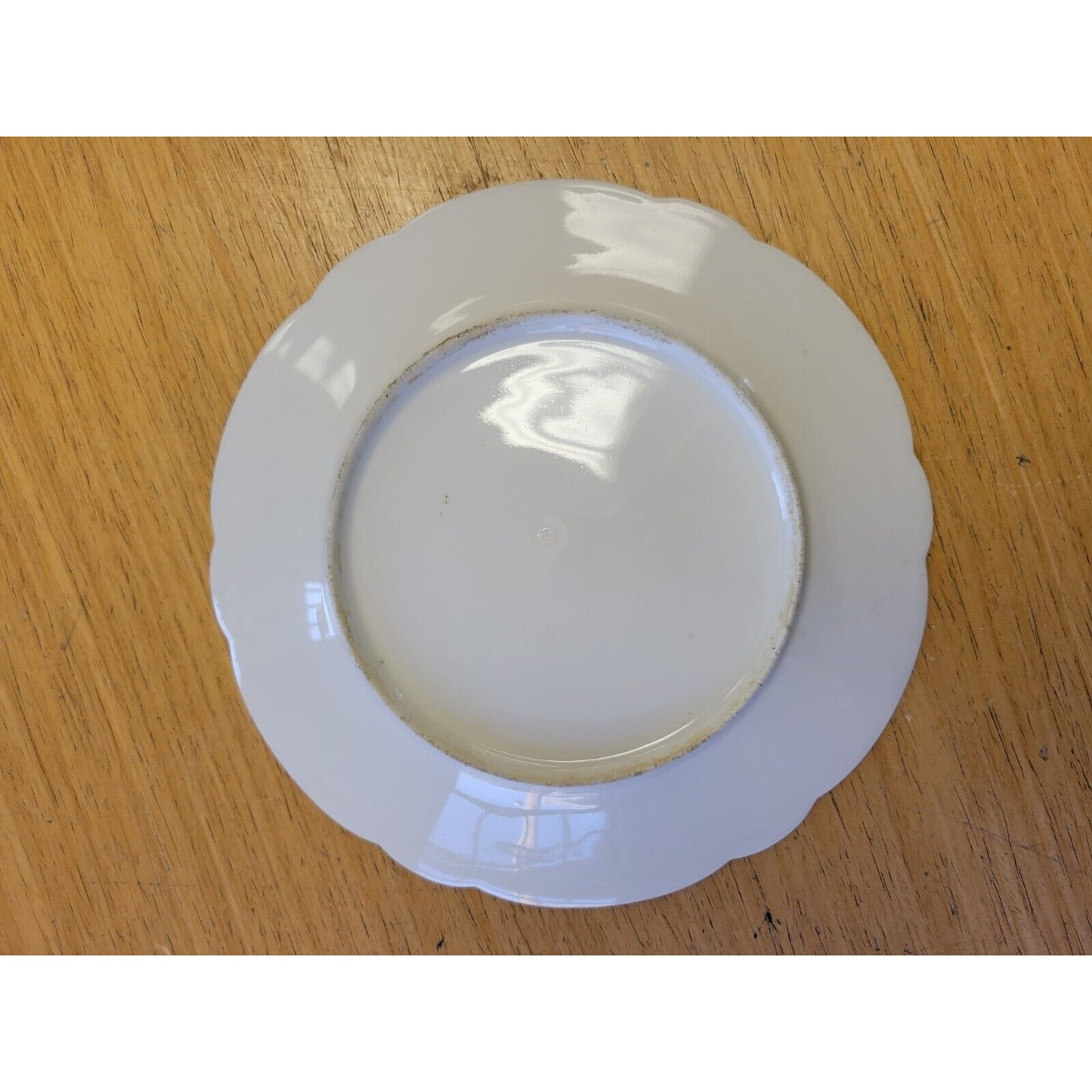 Set of Seven Botanical Porcelain Plates 8 1/4"