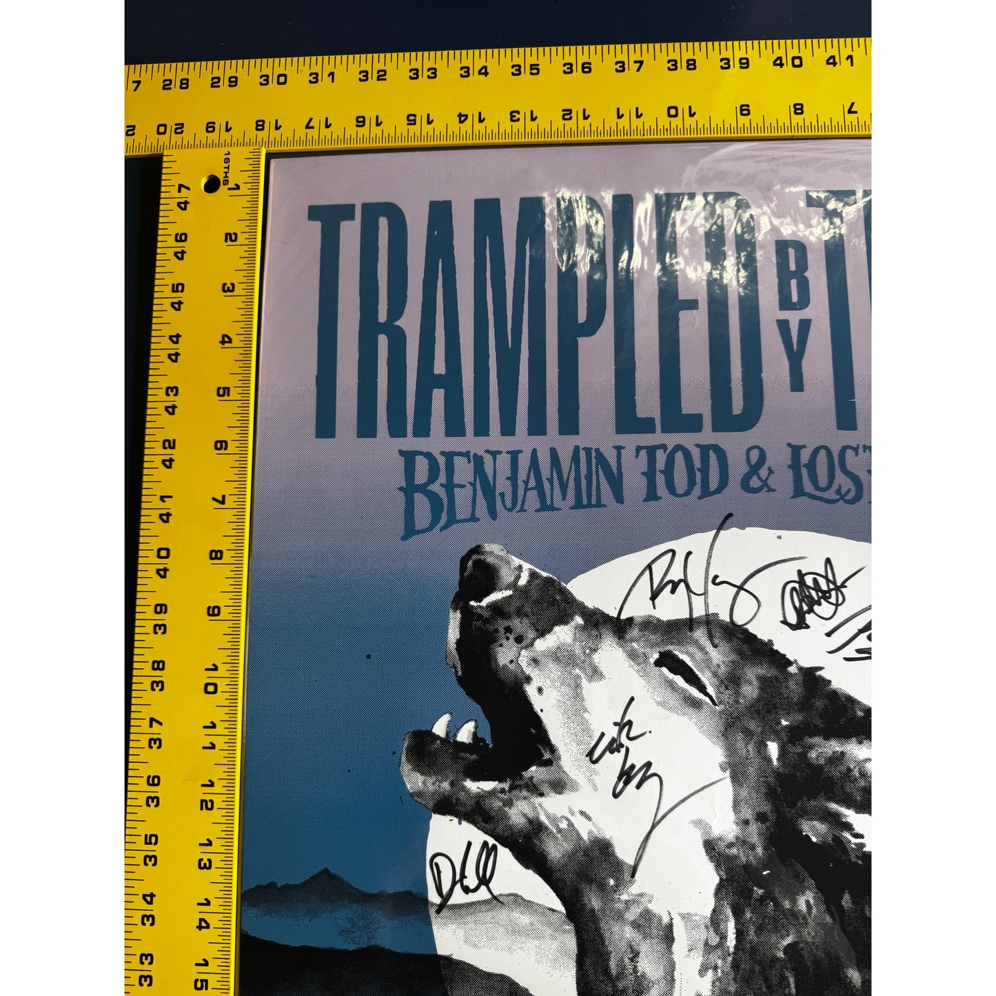 Ben Tod & Trampled by Turtles Tour Poster – Signed – May 29–31, 2024 – 24x18
