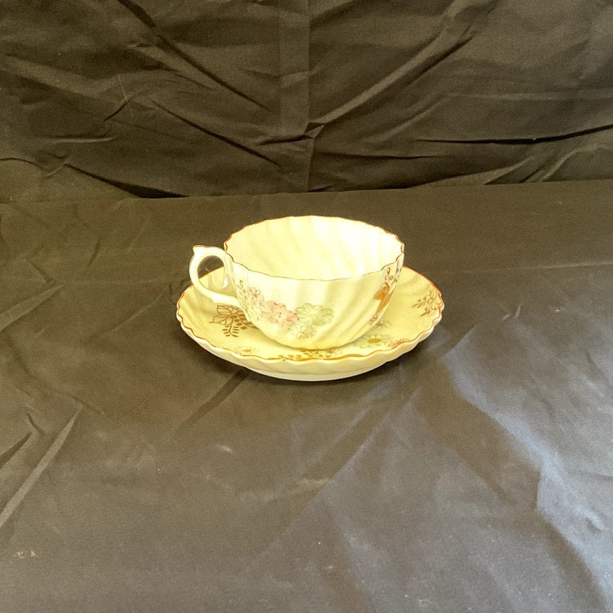 Antique Hand Painted Fine China Tea cup & Saucer