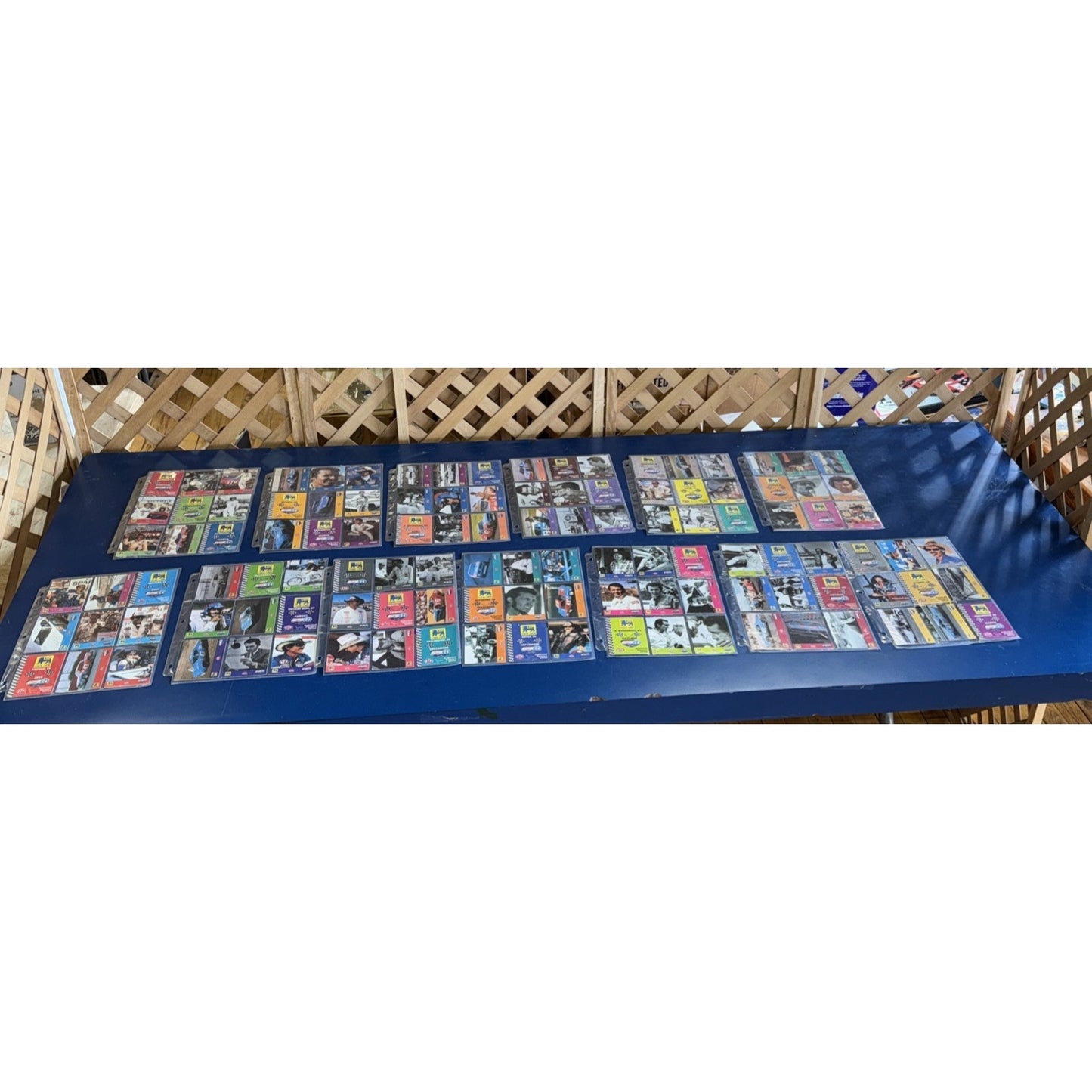1992 NASCAR Food Lion Richard Petty 116 Card Set in Sleeves RARE Collector