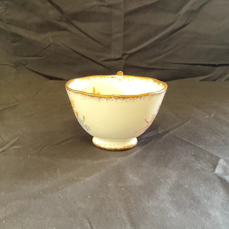 Roslyn Bone China Sunningdale Hand Painted Cups & Saucers - Set of 9 + 2 cups