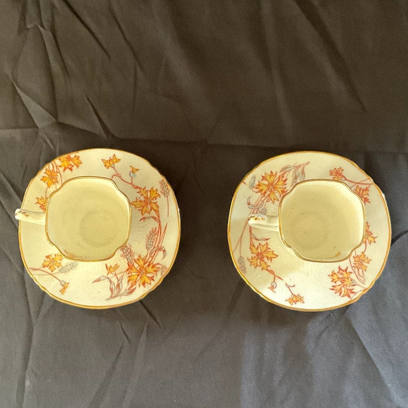 Vintage Fine Bone China Footed Tea Cup & Saucer - Set of 2