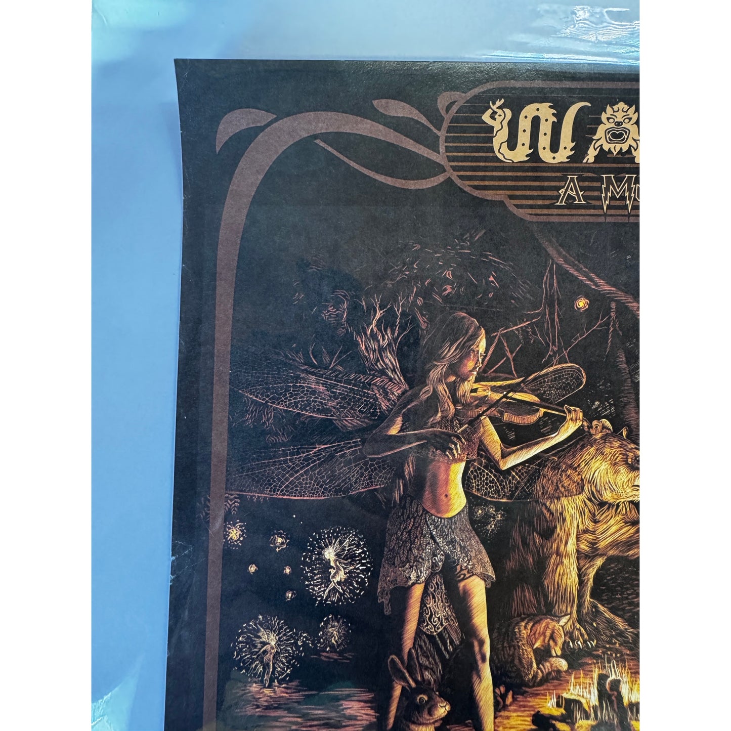 18.75" x 12.75"-WA Fest-Wilderness Adventure -11/26,2022-Va-Paul Dempsey-Poster