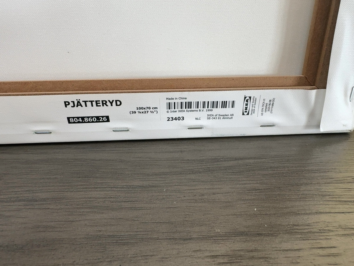 IKEA Pjatteryd Vintage Camera Canvas Wall Art Print 39x27 804.860.26