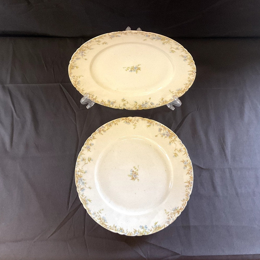 Antique C.H. Field Haviland Limoges Plates - Set of 2