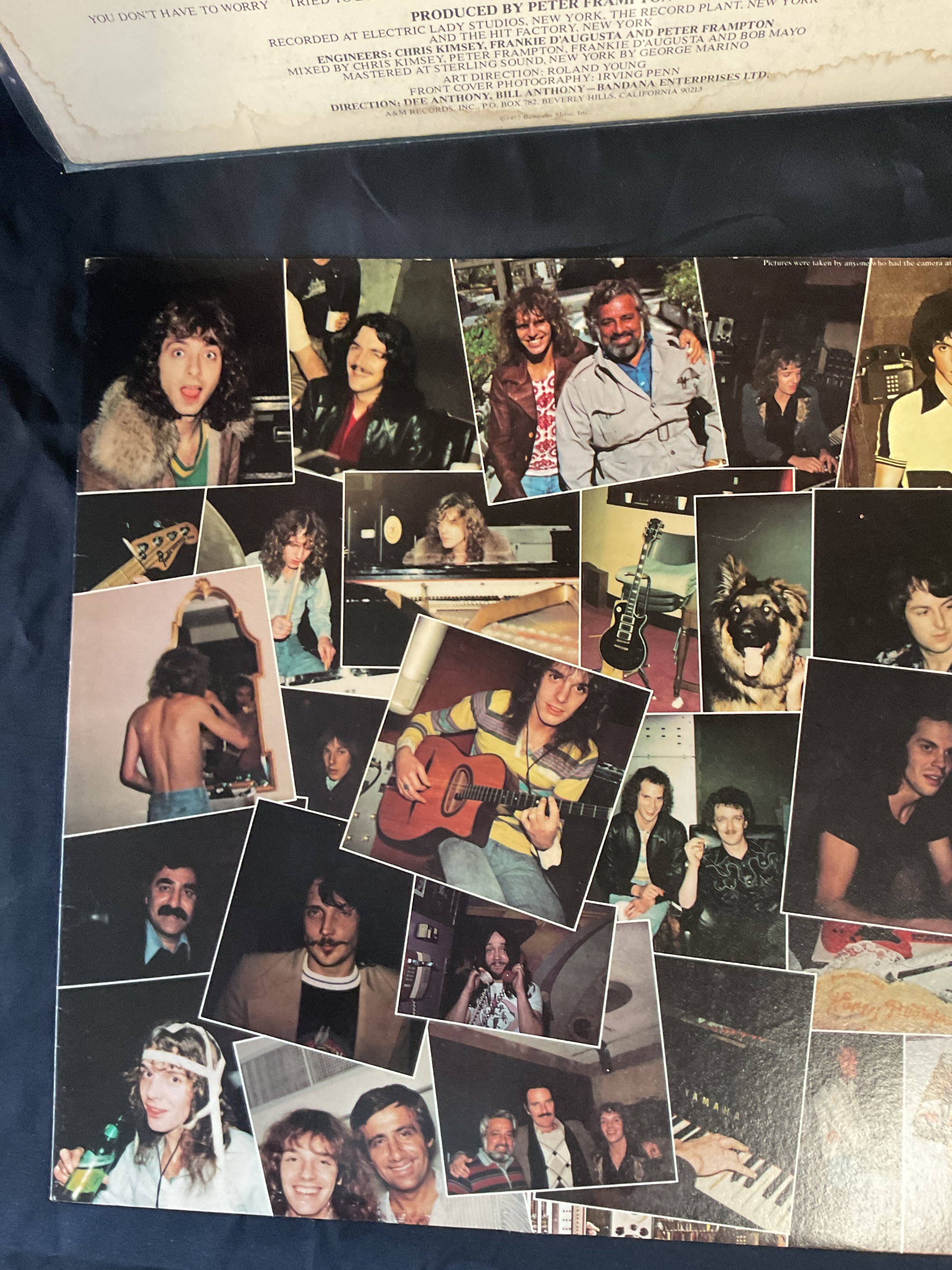 Peter Frampton : I'm In You (LP,Album,Stereo)