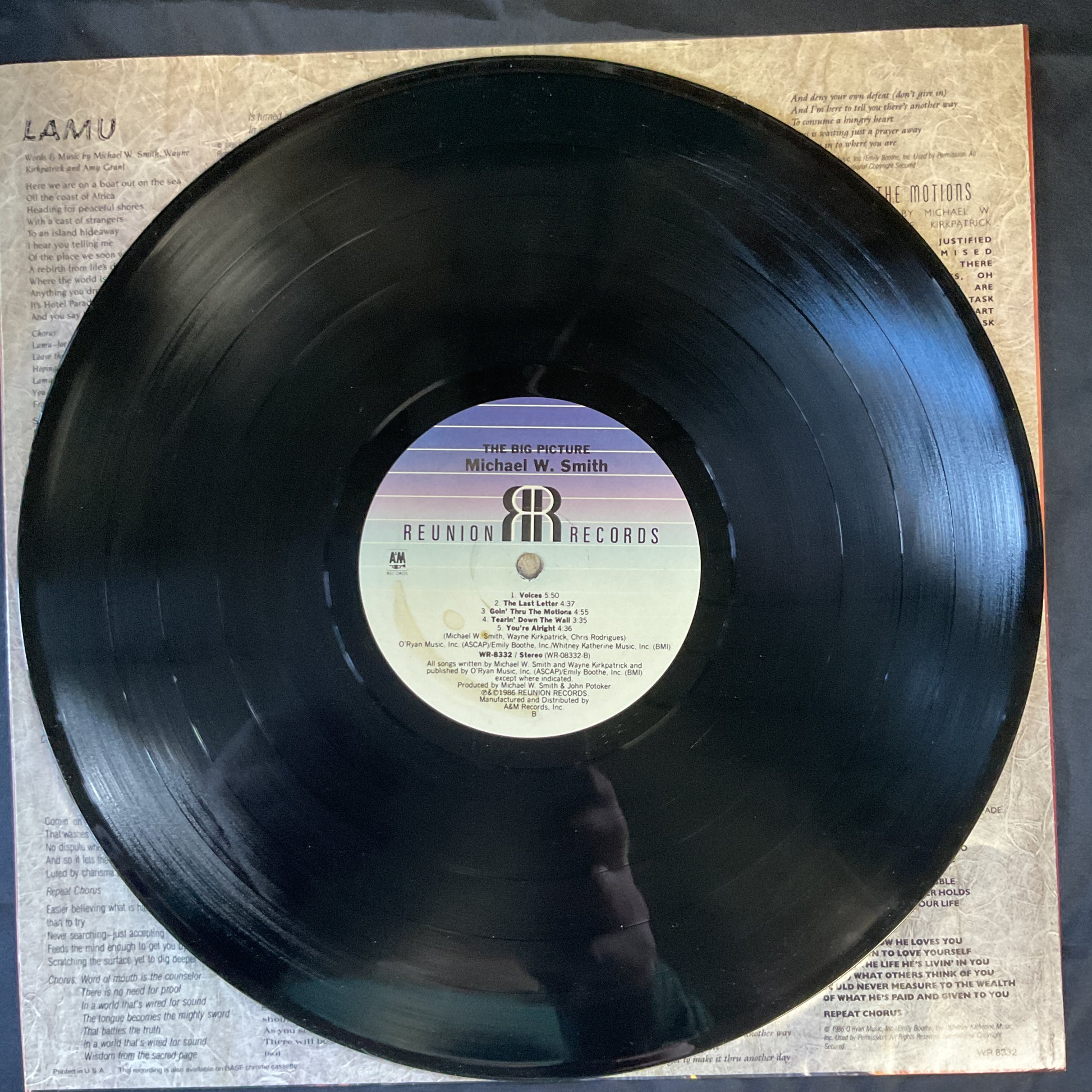 Michael W. Smith : The Big Picture (LP,Album)