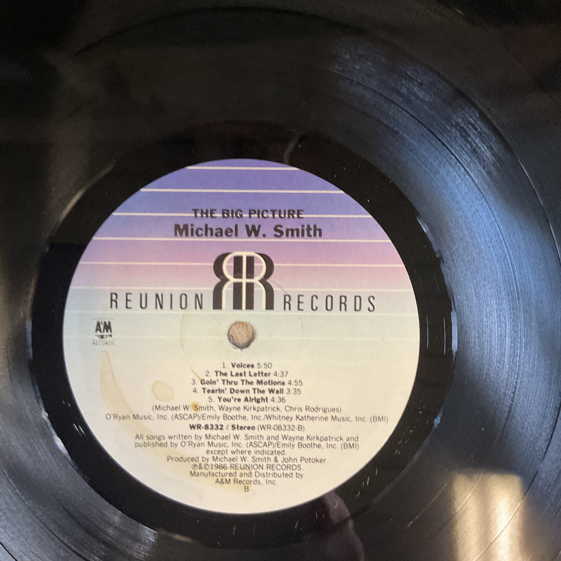 Michael W. Smith : The Big Picture (LP,Album)