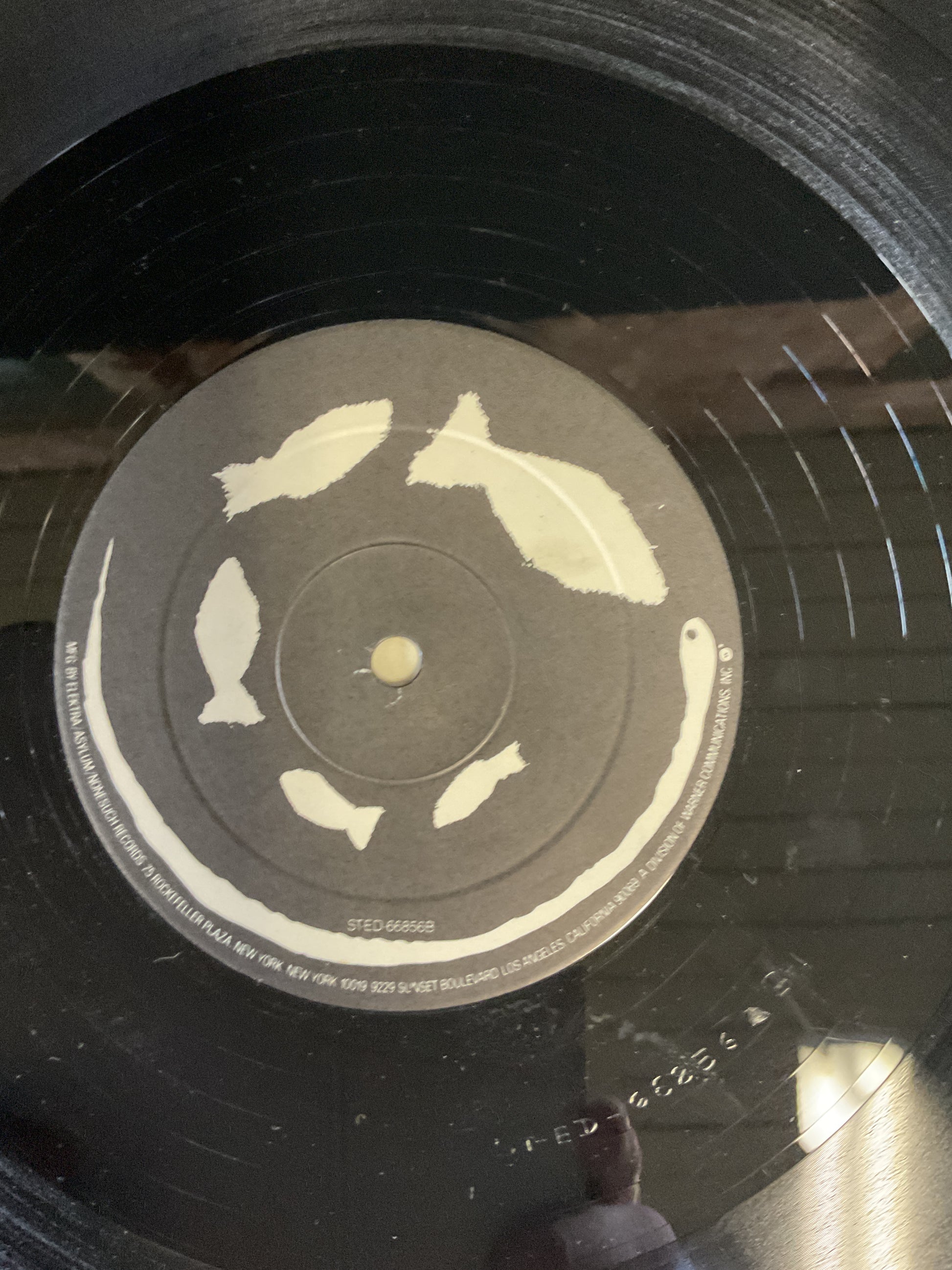 The Cure : Quadpus (12",33 ⅓ RPM,Single)