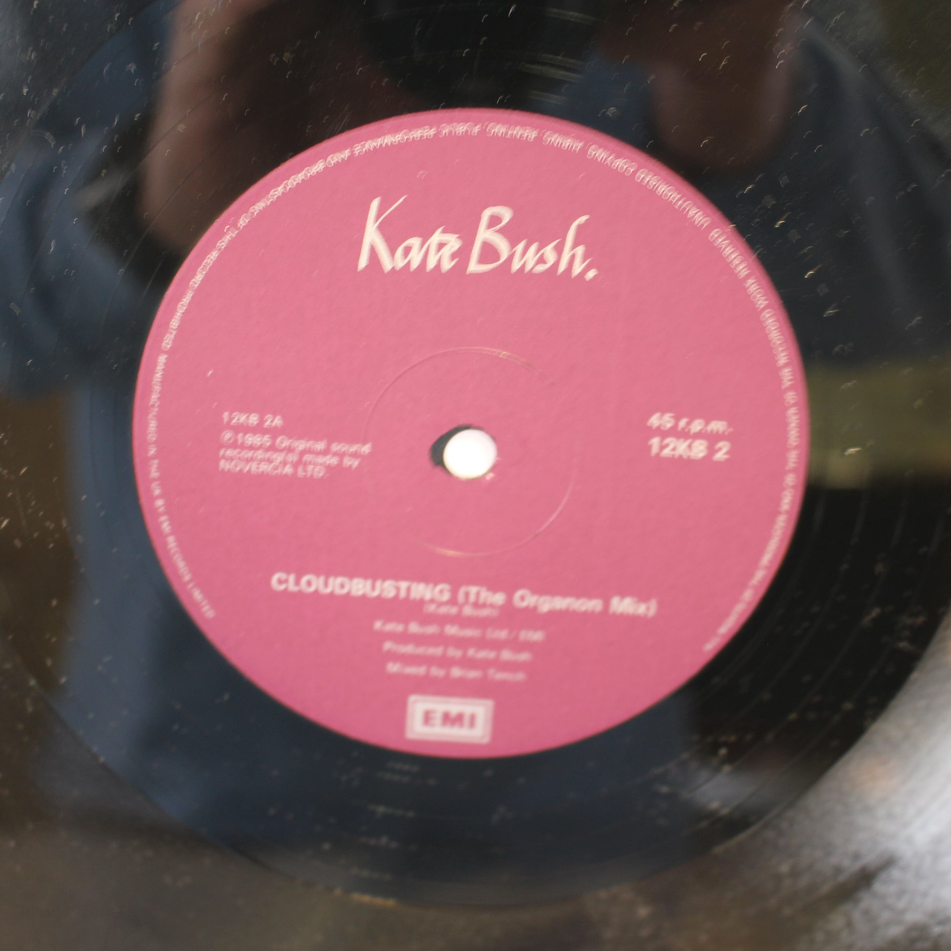 Kate Bush : Cloudbusting (12",45 RPM,Single)