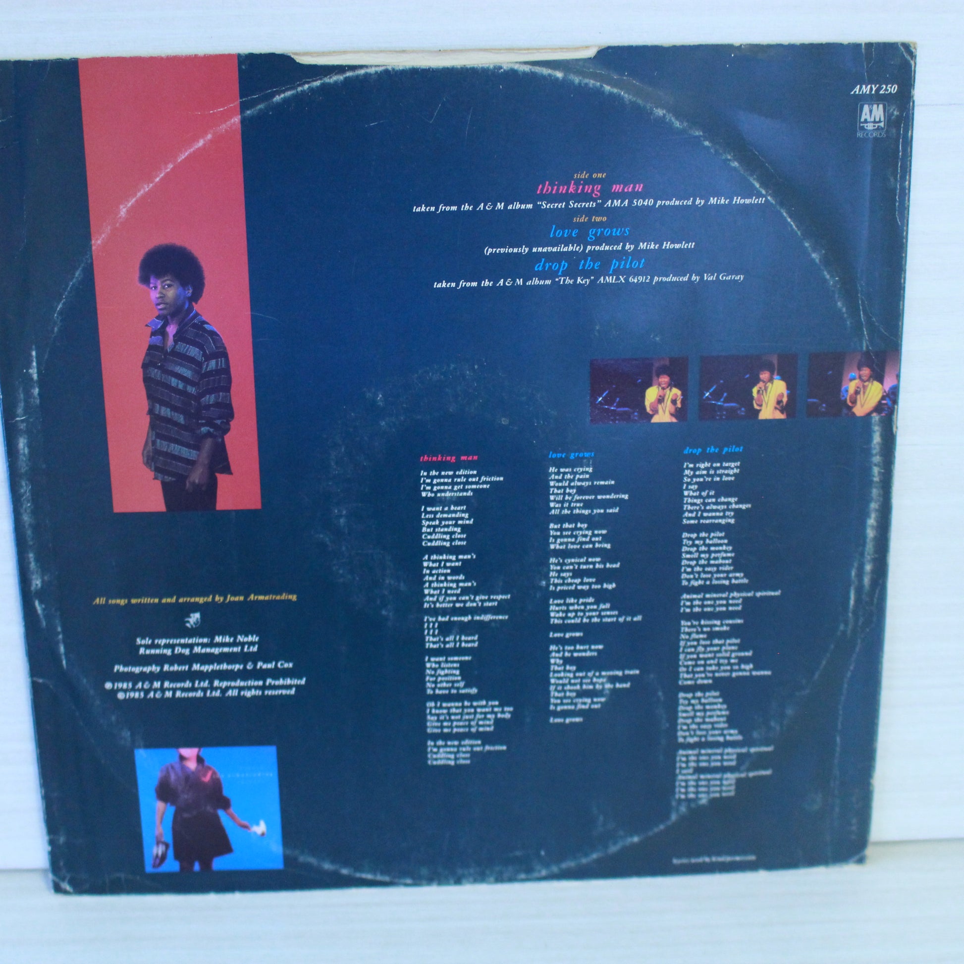 Joan Armatrading : Thinking Man (12",45 RPM,Single,Stereo)