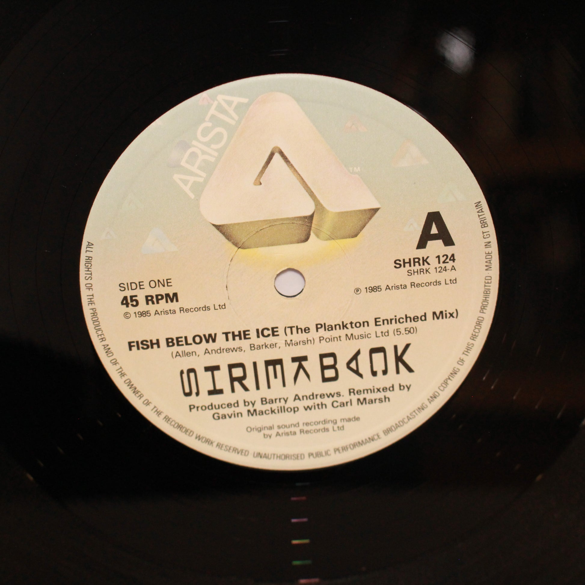 Shriekback : Fish Below The Ice (12",Single)