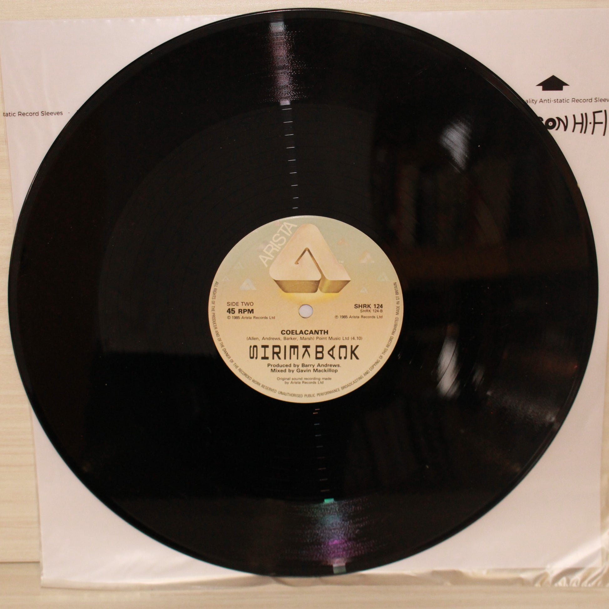 Shriekback : Fish Below The Ice (12",Single)
