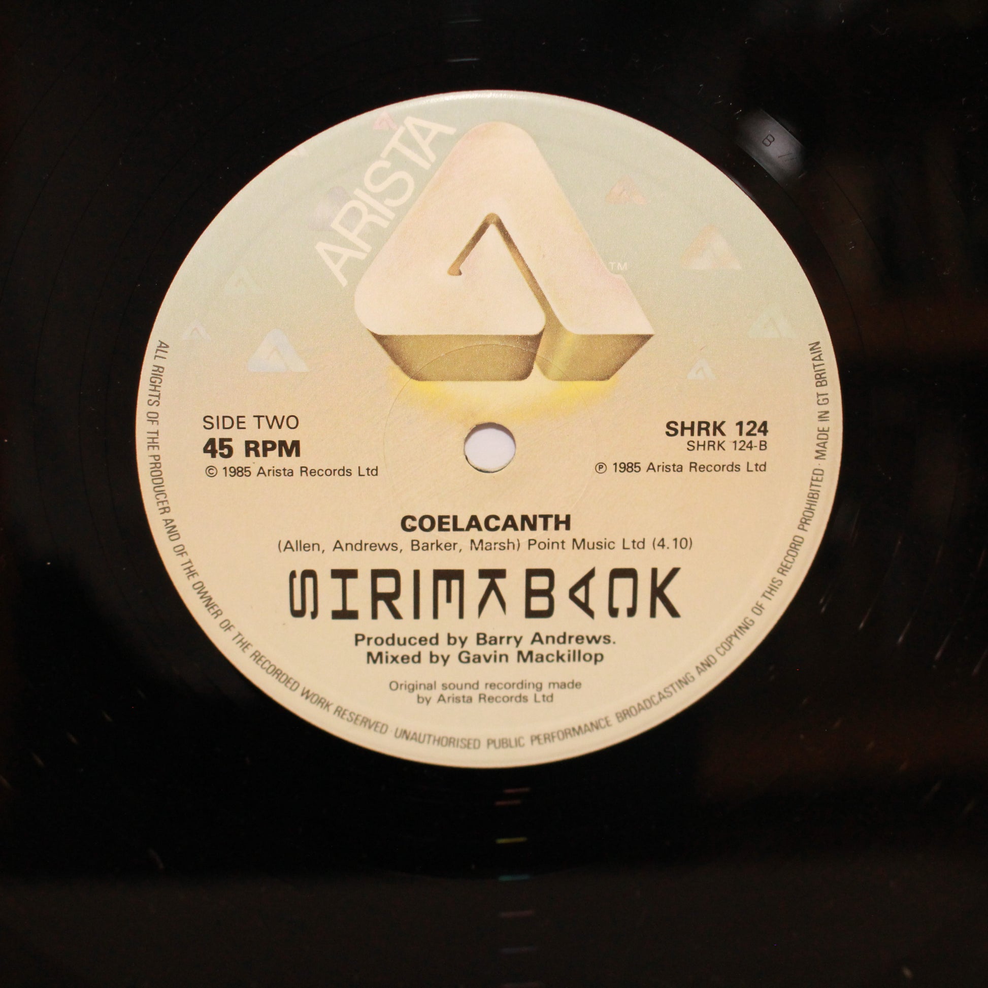 Shriekback : Fish Below The Ice (12",Single)