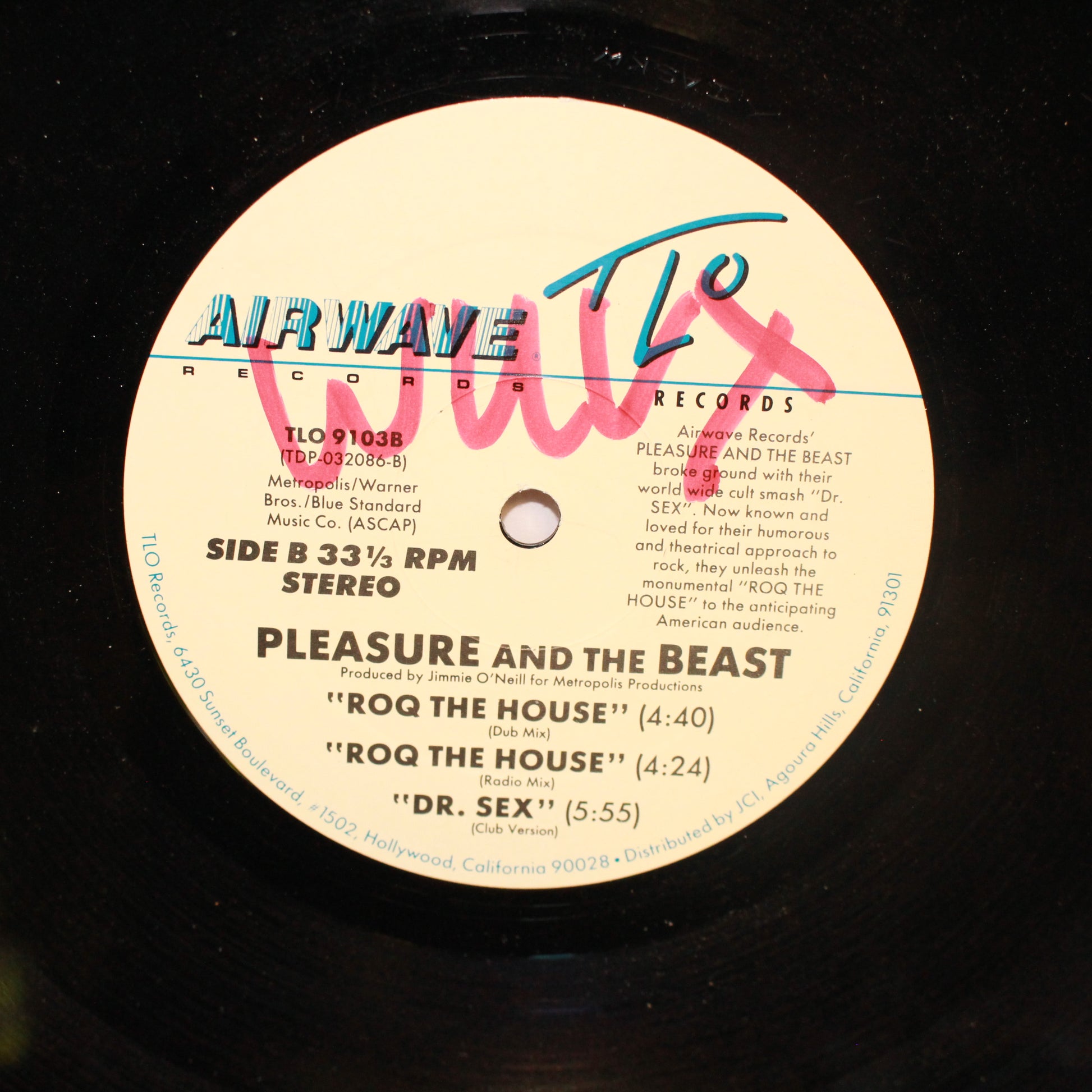 Pleasure And The Beast : Roq The House (12",33 ⅓ RPM,Single)