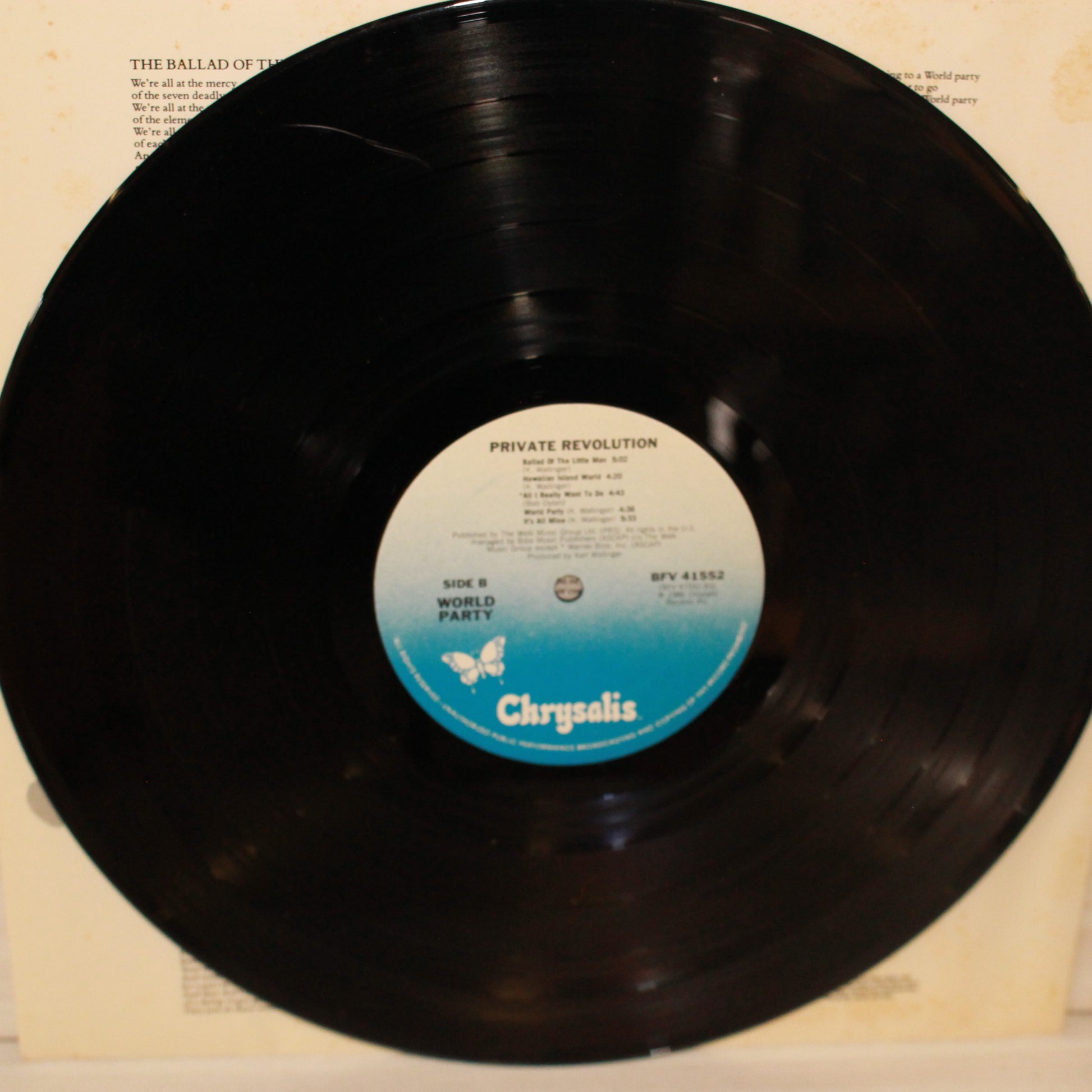 World Party : Private Revolution (LP,Album,Stereo)