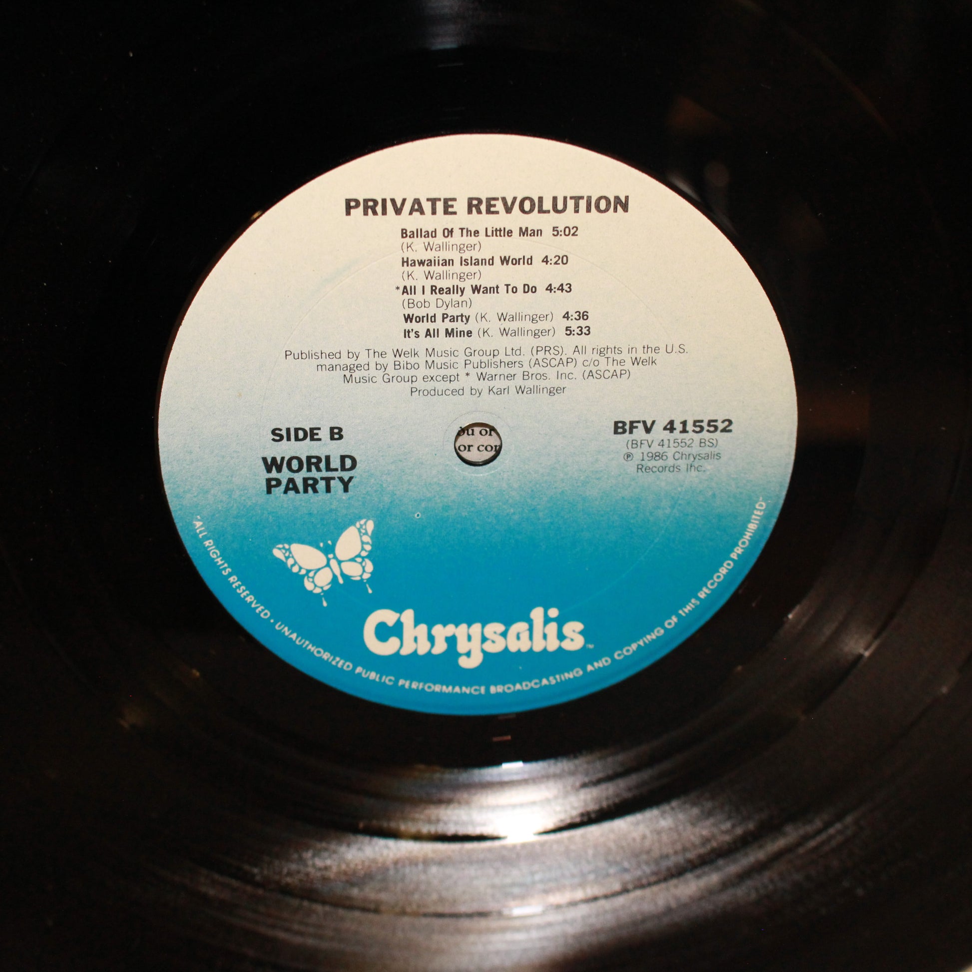 World Party : Private Revolution (LP,Album,Stereo)