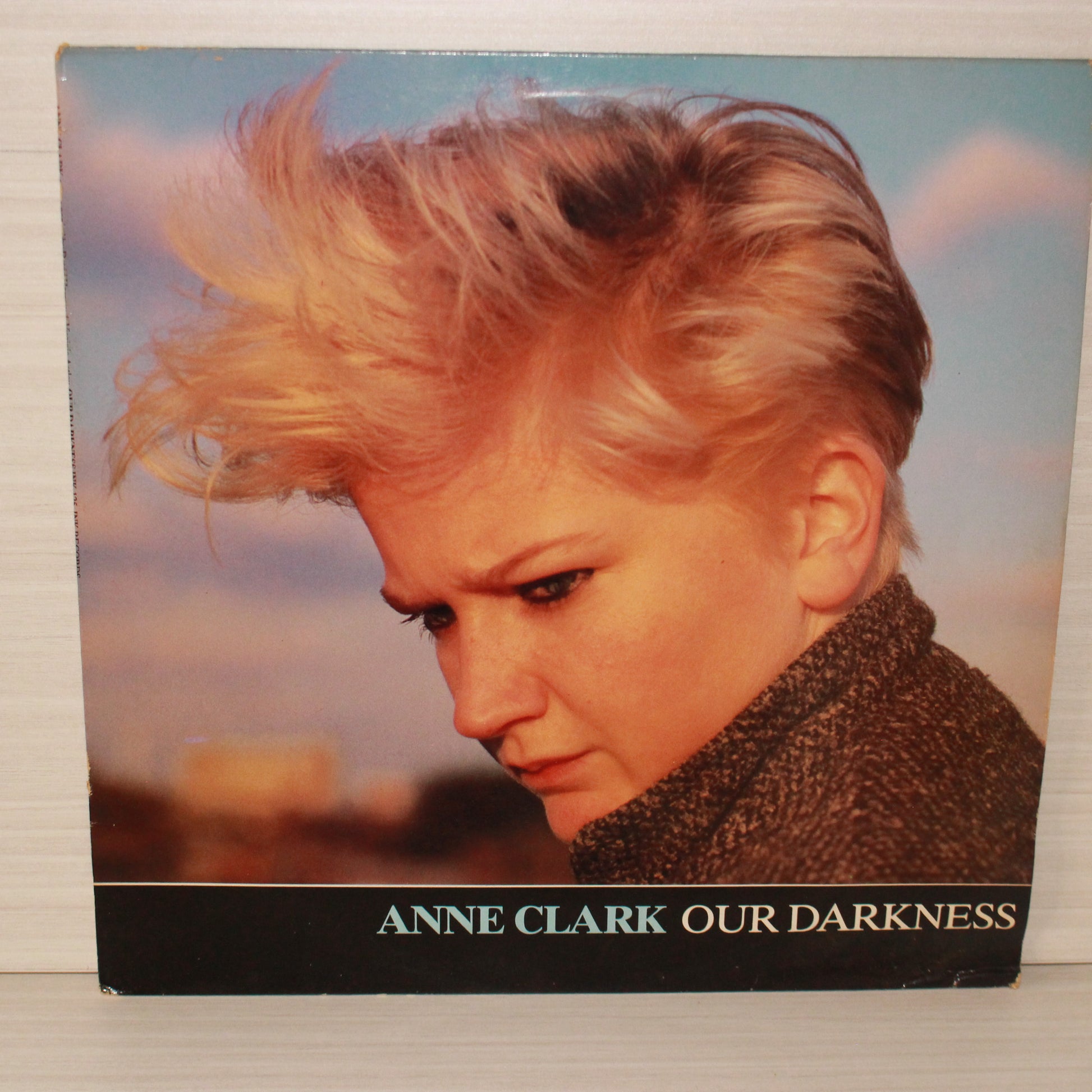 Anne Clark : Our Darkness (12",45 RPM,Single)
