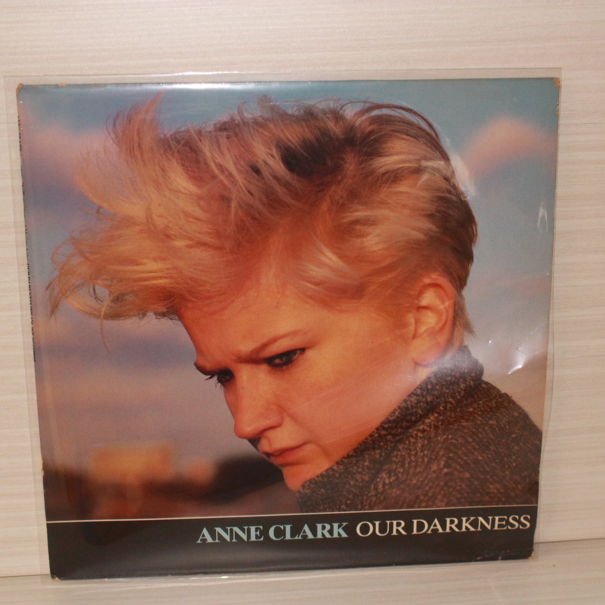 Anne Clark : Our Darkness (12",45 RPM,Single)