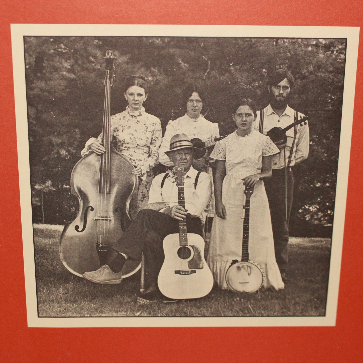 Dutch Cove Old Time String Band : Sycamore Tea (LP,Album)