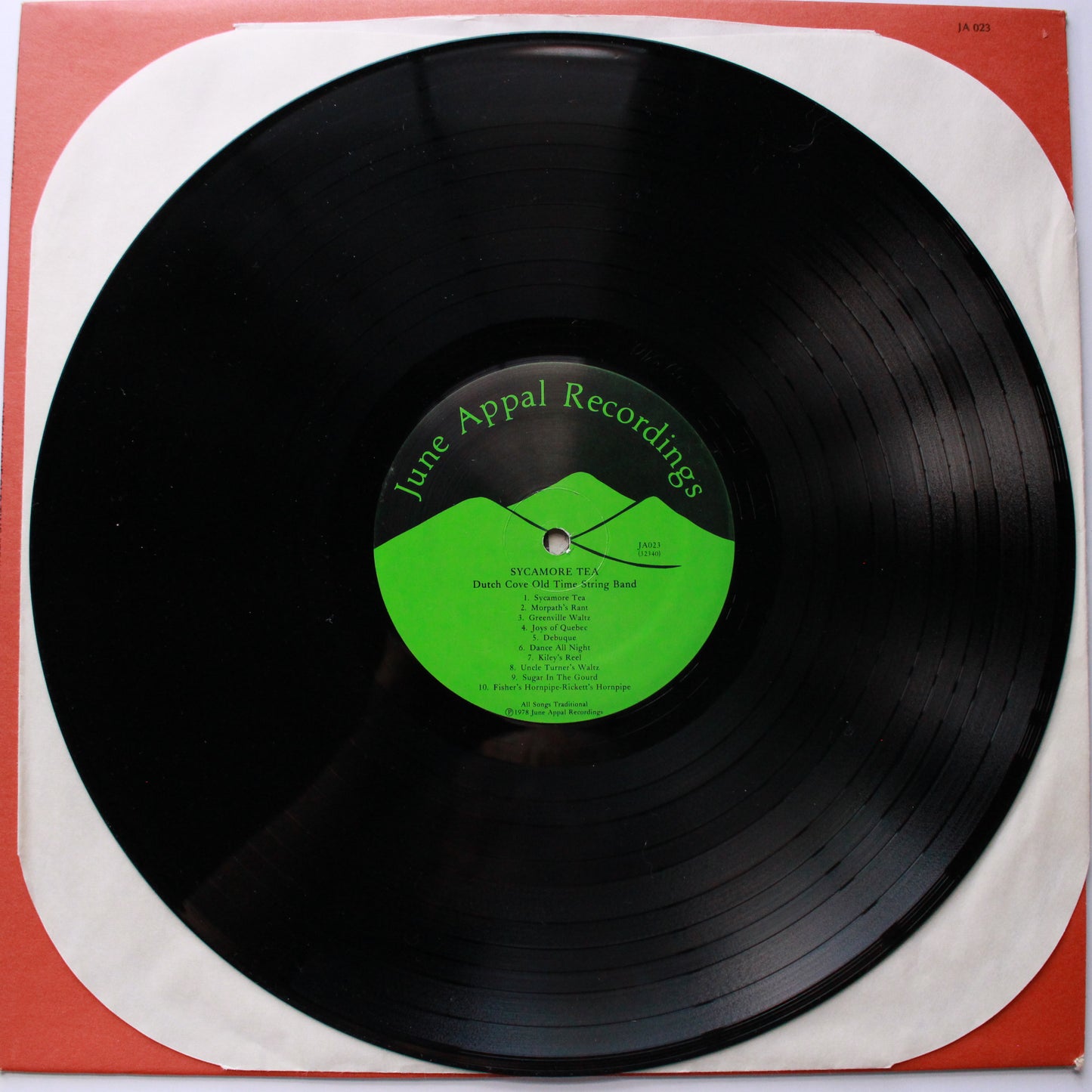 Dutch Cove Old Time String Band : Sycamore Tea (LP,Album)